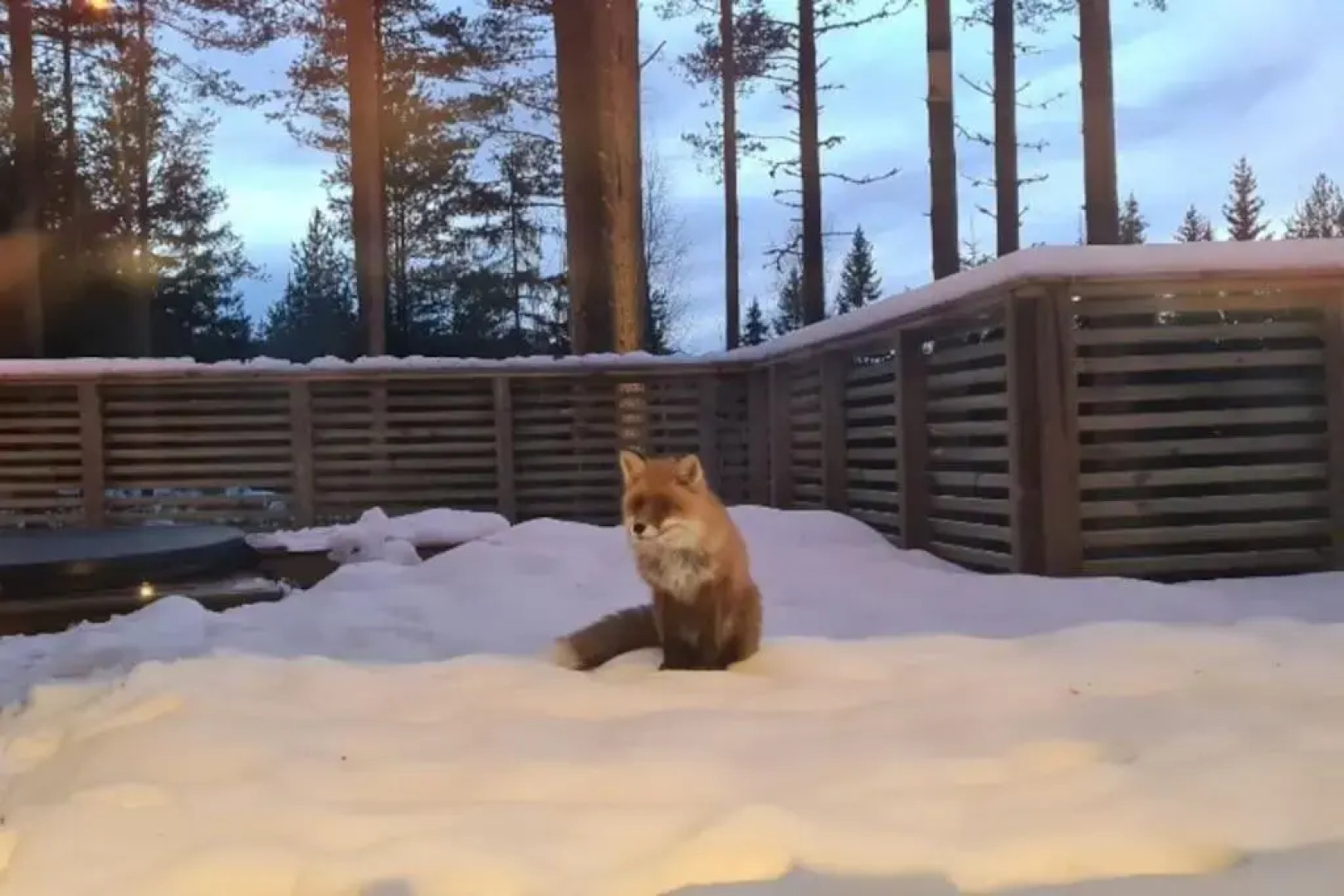 Skogly - Ny stor hytte, Unike Finnskogen