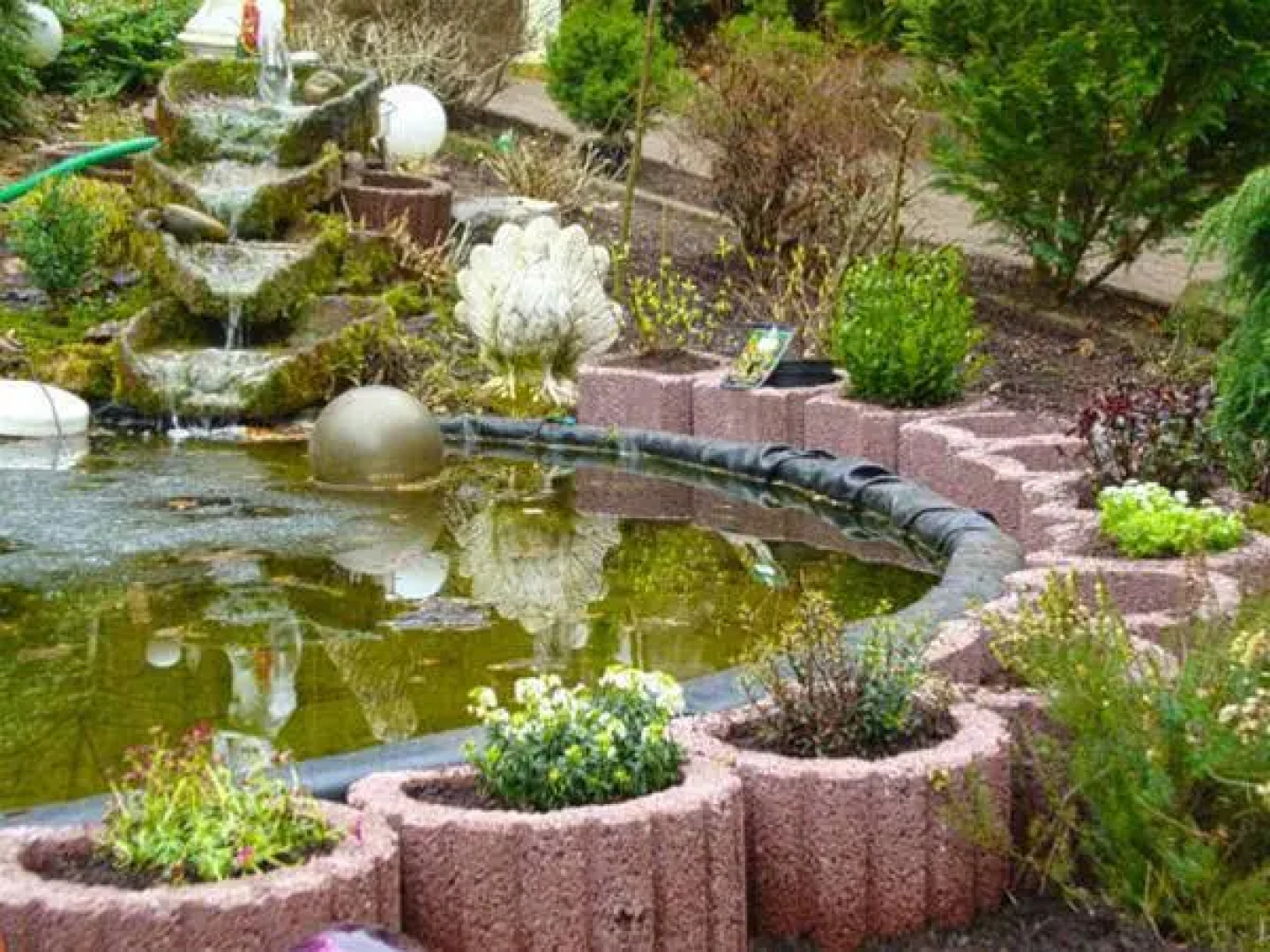 Wohlfühlhotel Saxonia