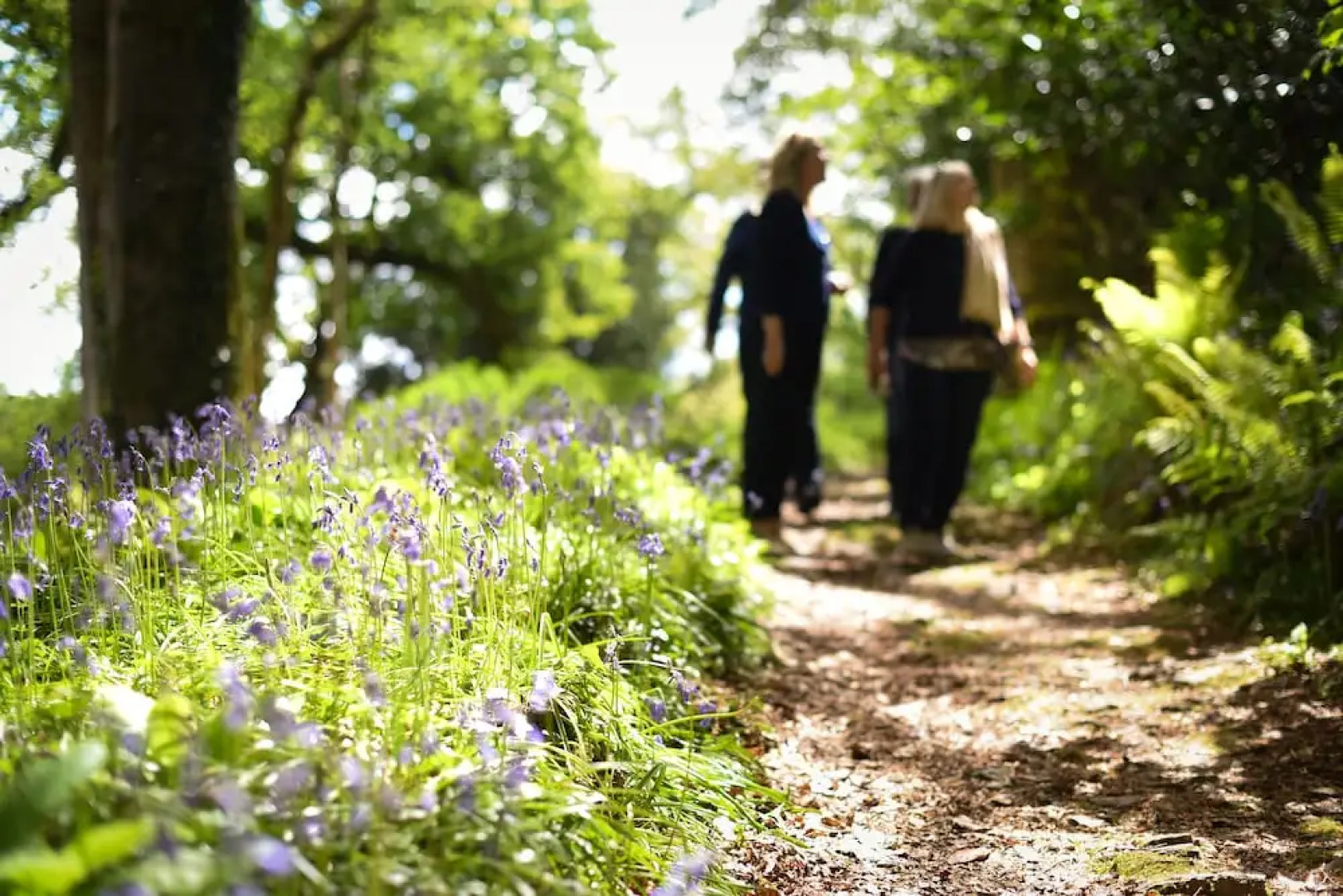 Pentillie Castle and Estate