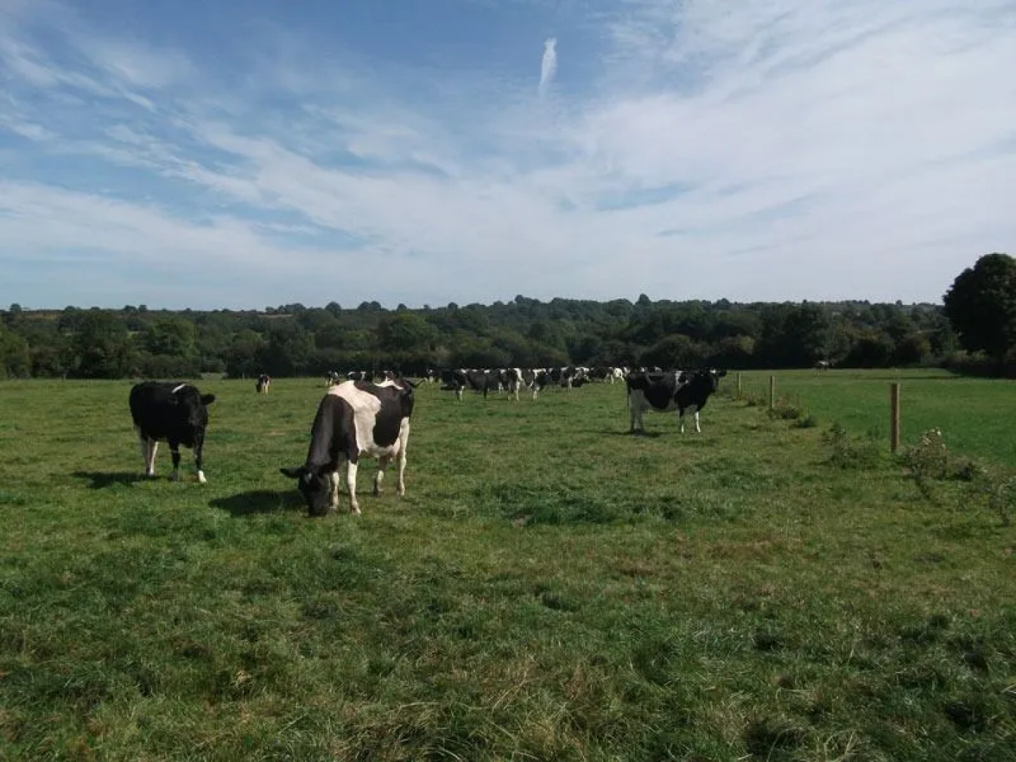 Coolmore Agri Farmhouse