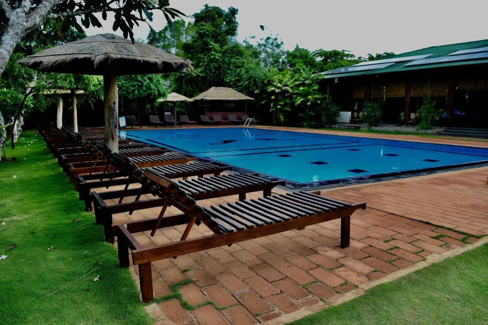 Camellia Resort and Spa