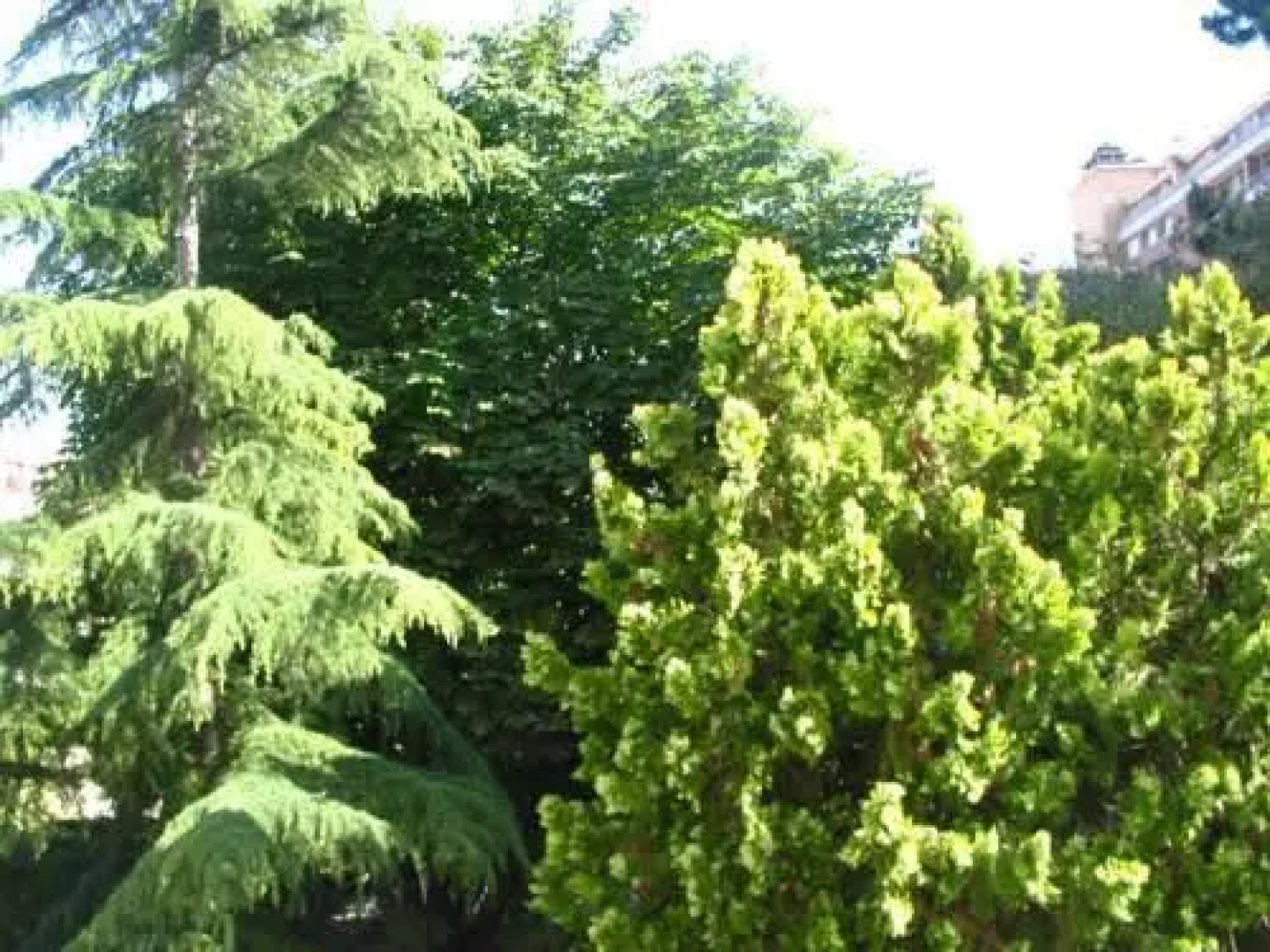 Boulognes Douceur de Vivre