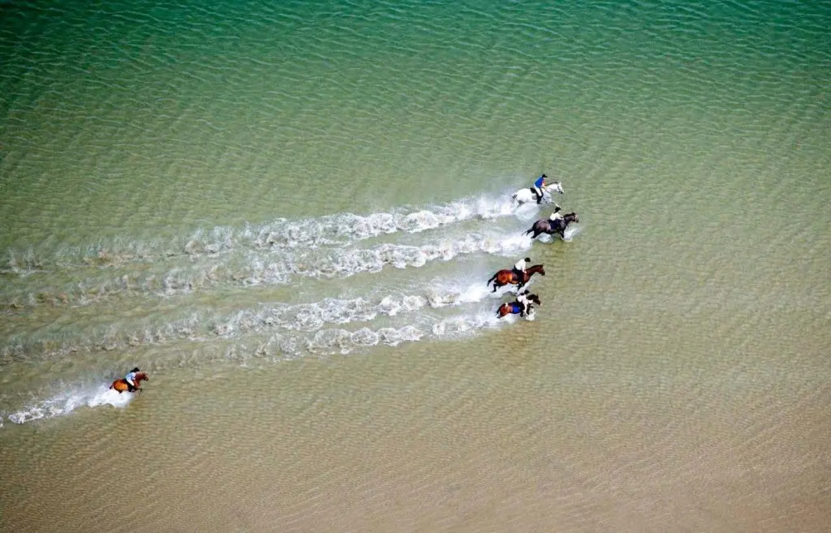 Westport Woods Hotel & Spa