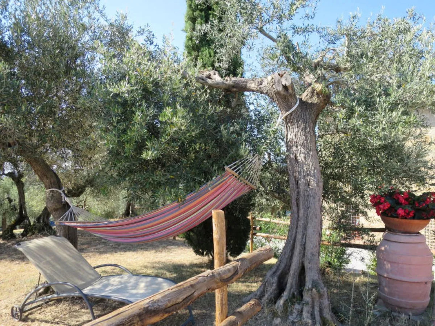 La Collina Fiorita (CDL620)