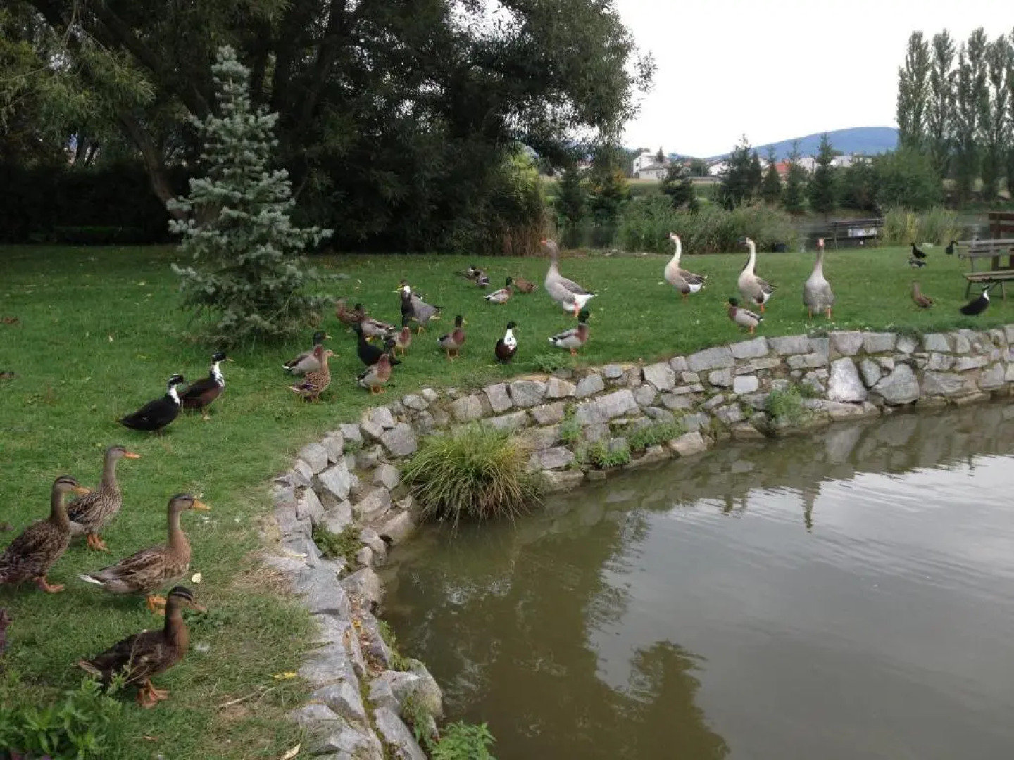 Rybárska bašta a penzión Dobys