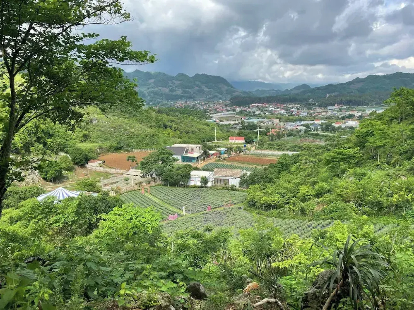 Natalie's Villa & Resort Moc Chau