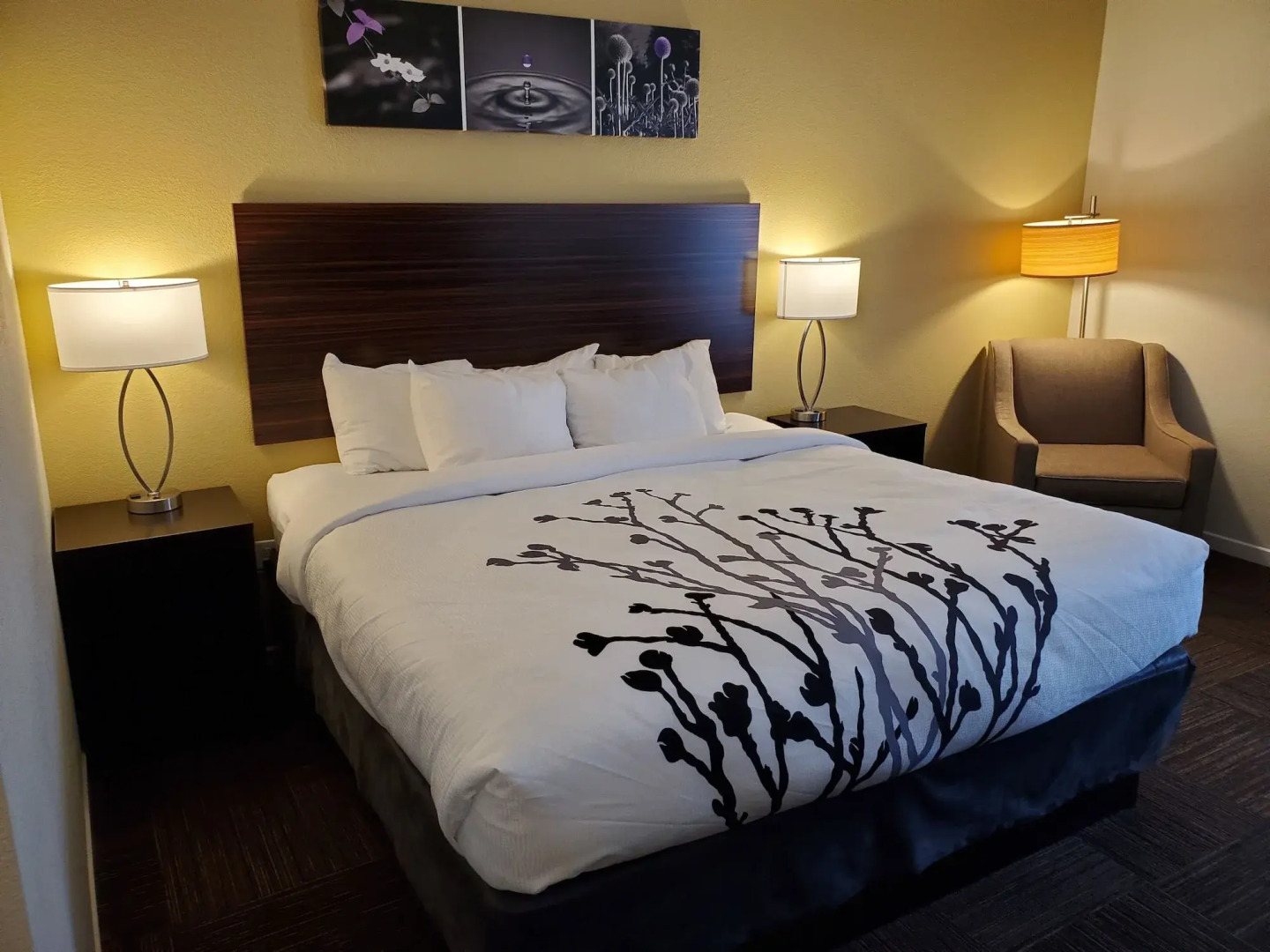 Sleep Inn And Suites