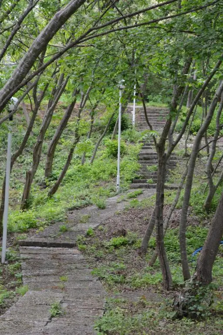 Sunshine Pearl Hotel