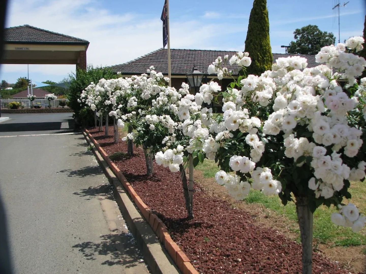 Comfort Inn Bushman's