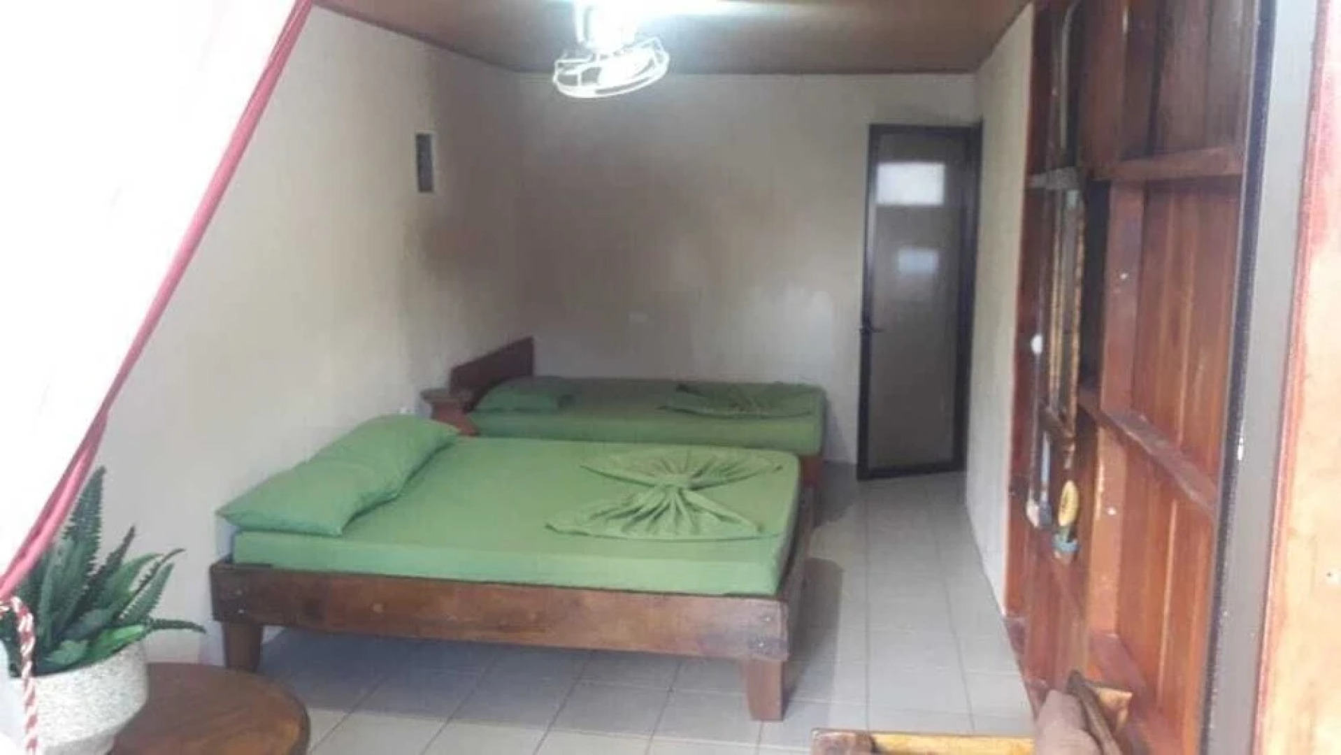 Hotel Cabinas y Tour Aaron Tortuguero