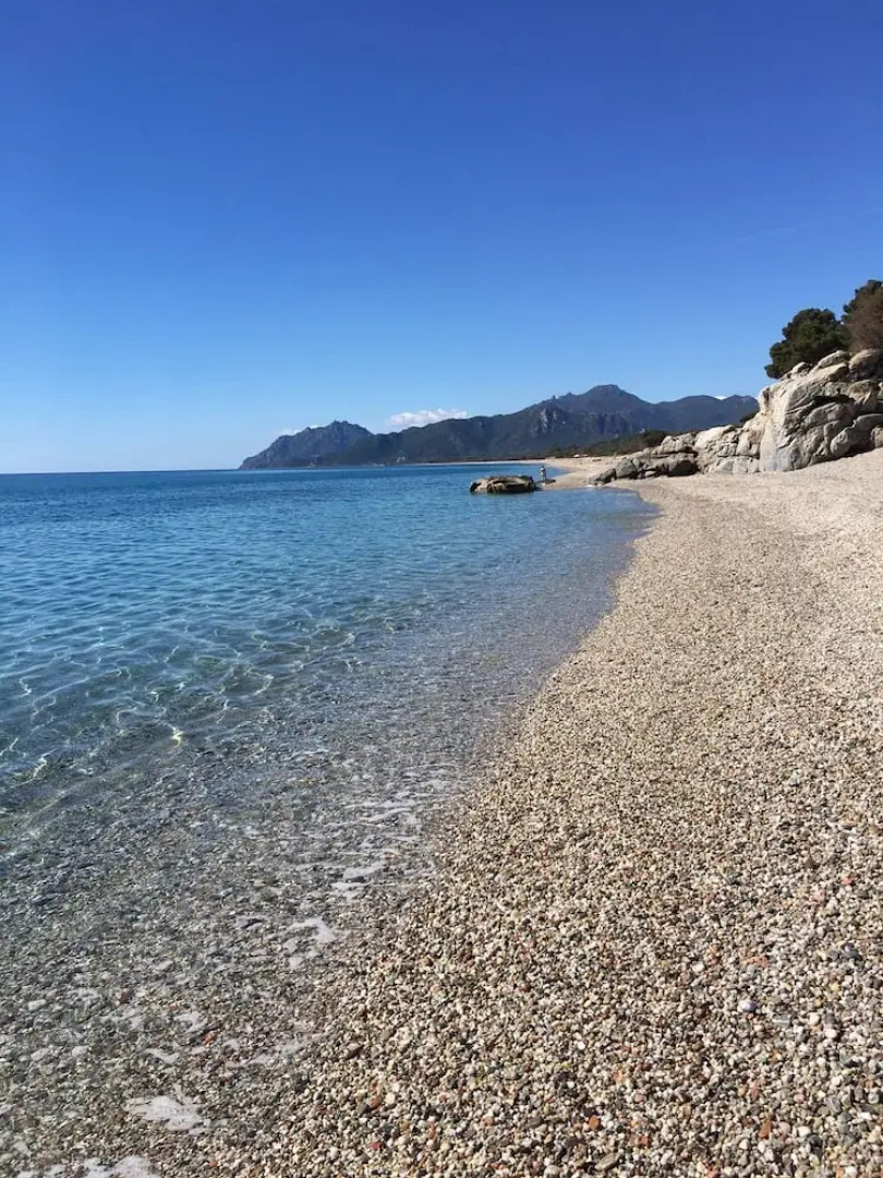 Lovely Garden Apartment