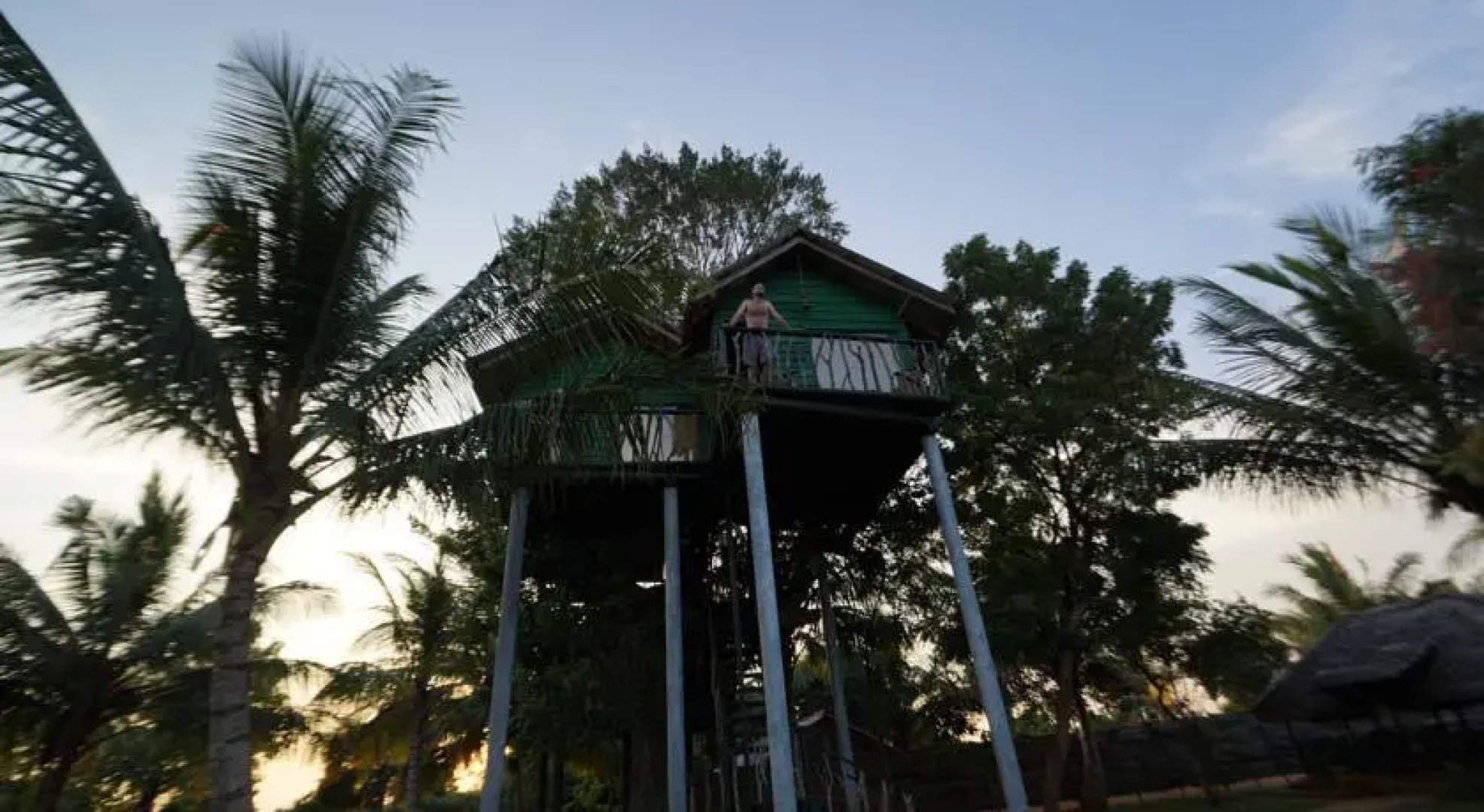 Yala Eco Tree House