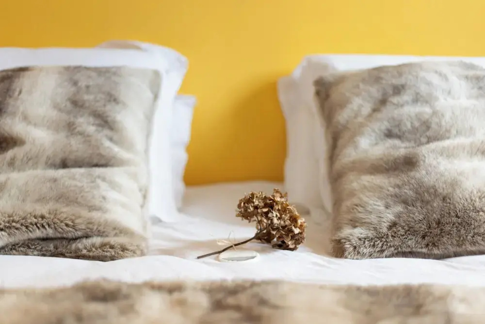 Domaine des Chanoines Blancs