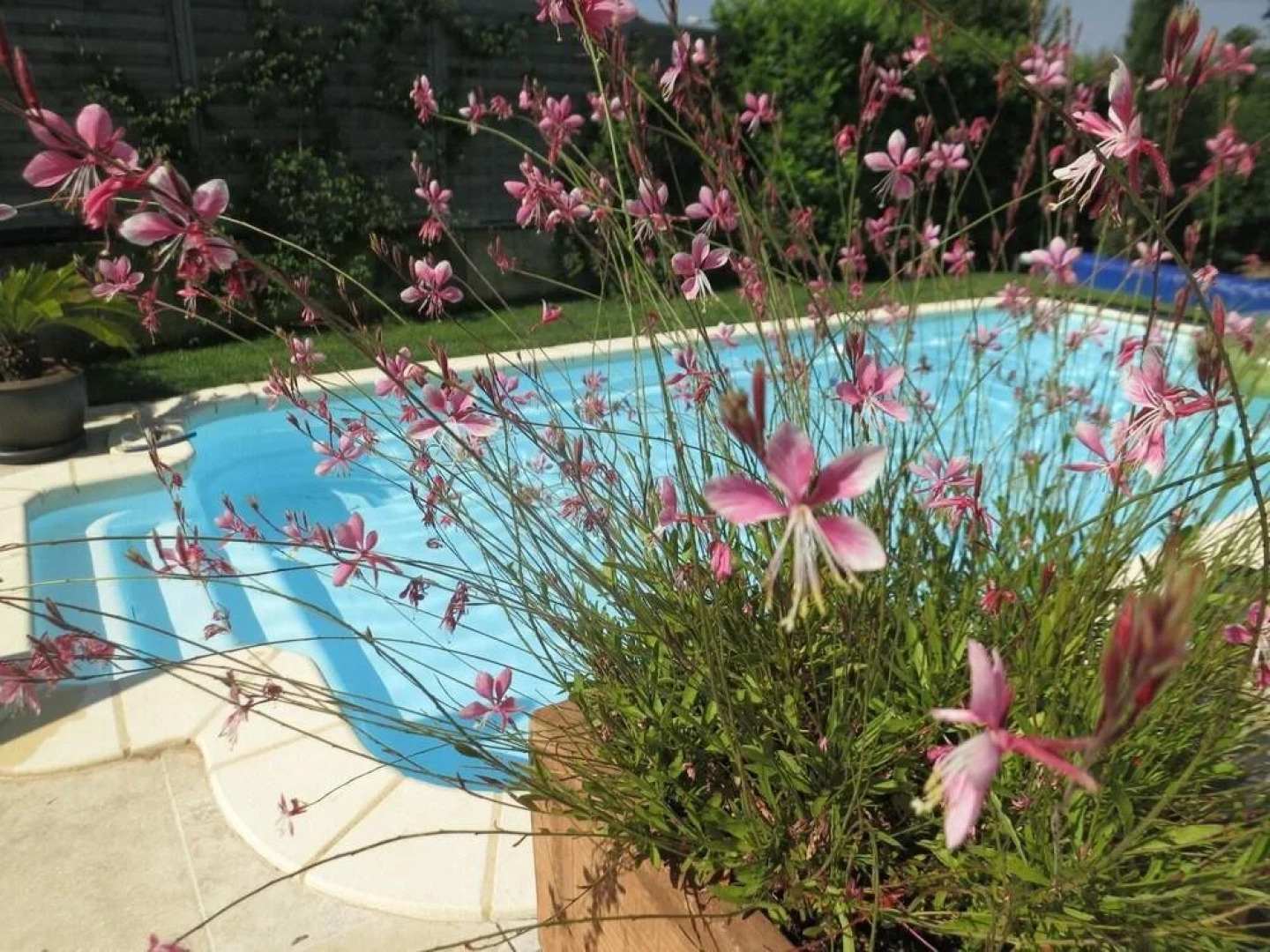 Happy Days en Provence