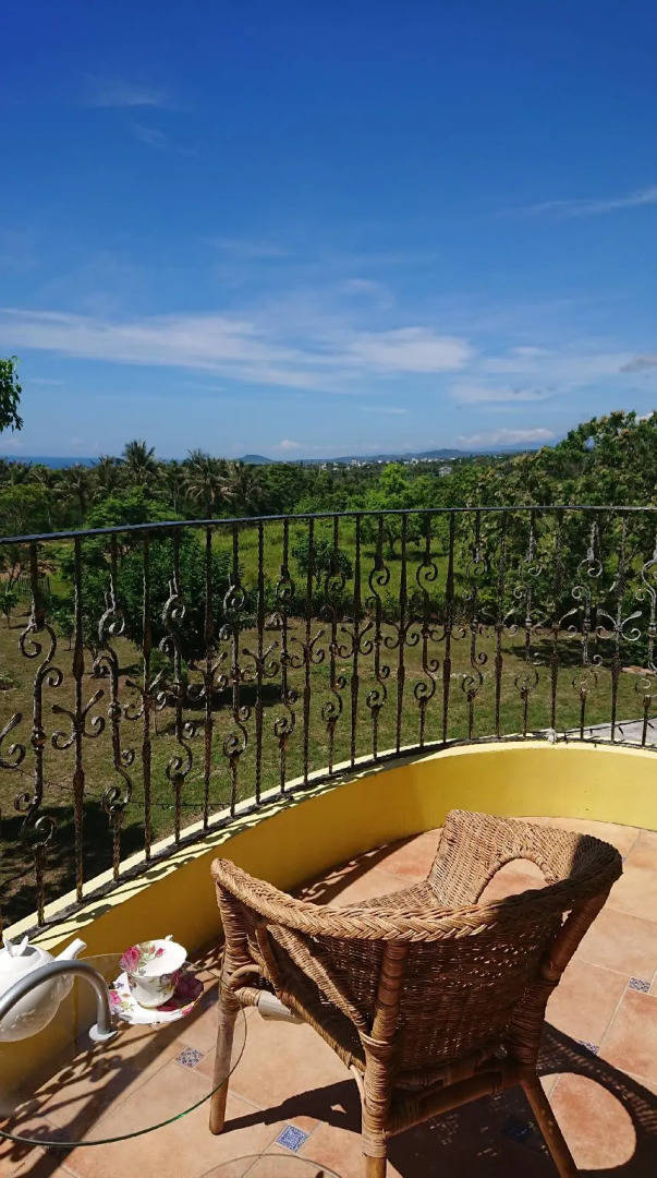 The Nest of Stray Birds