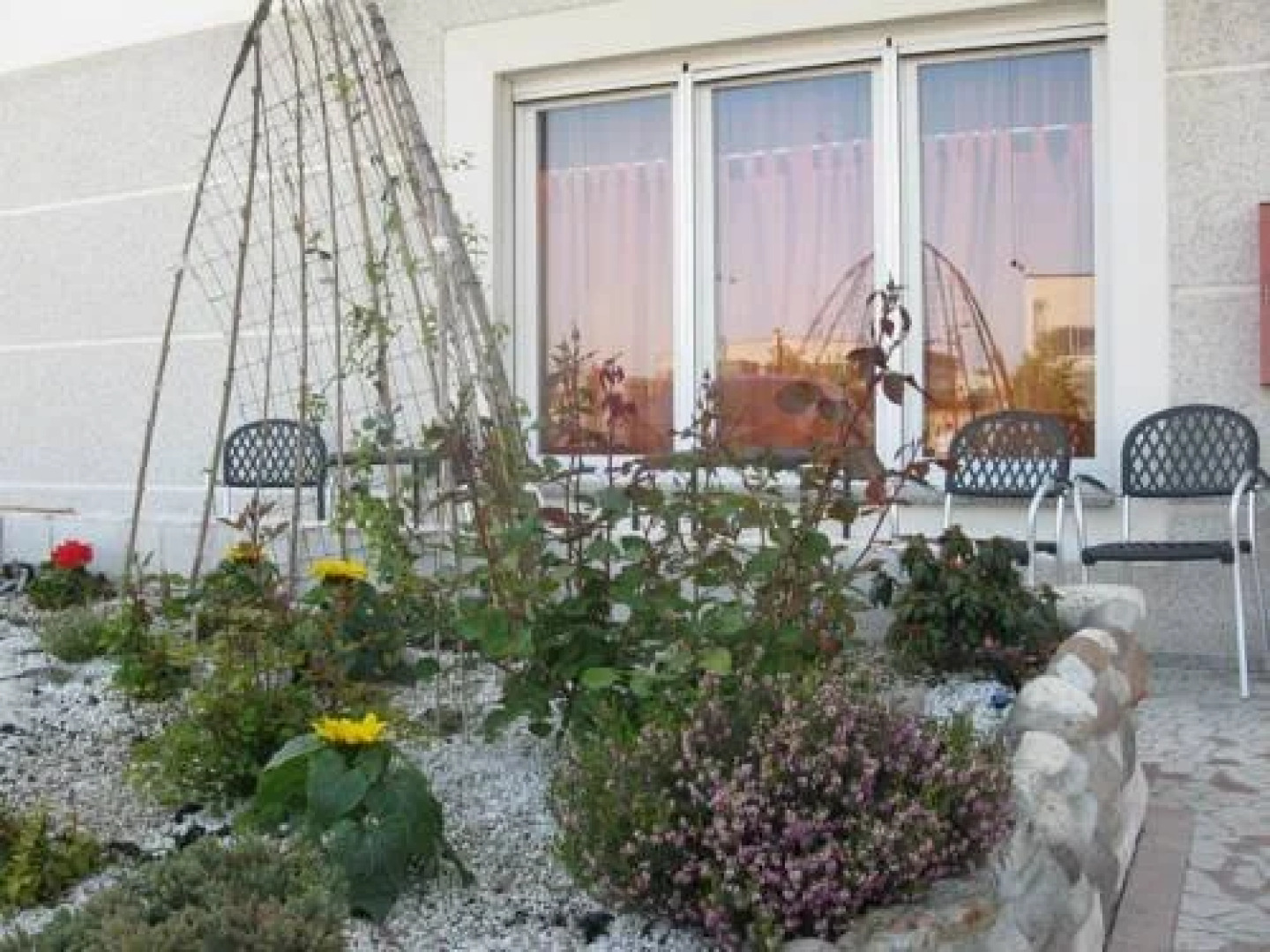 Hotel Grisù Collins