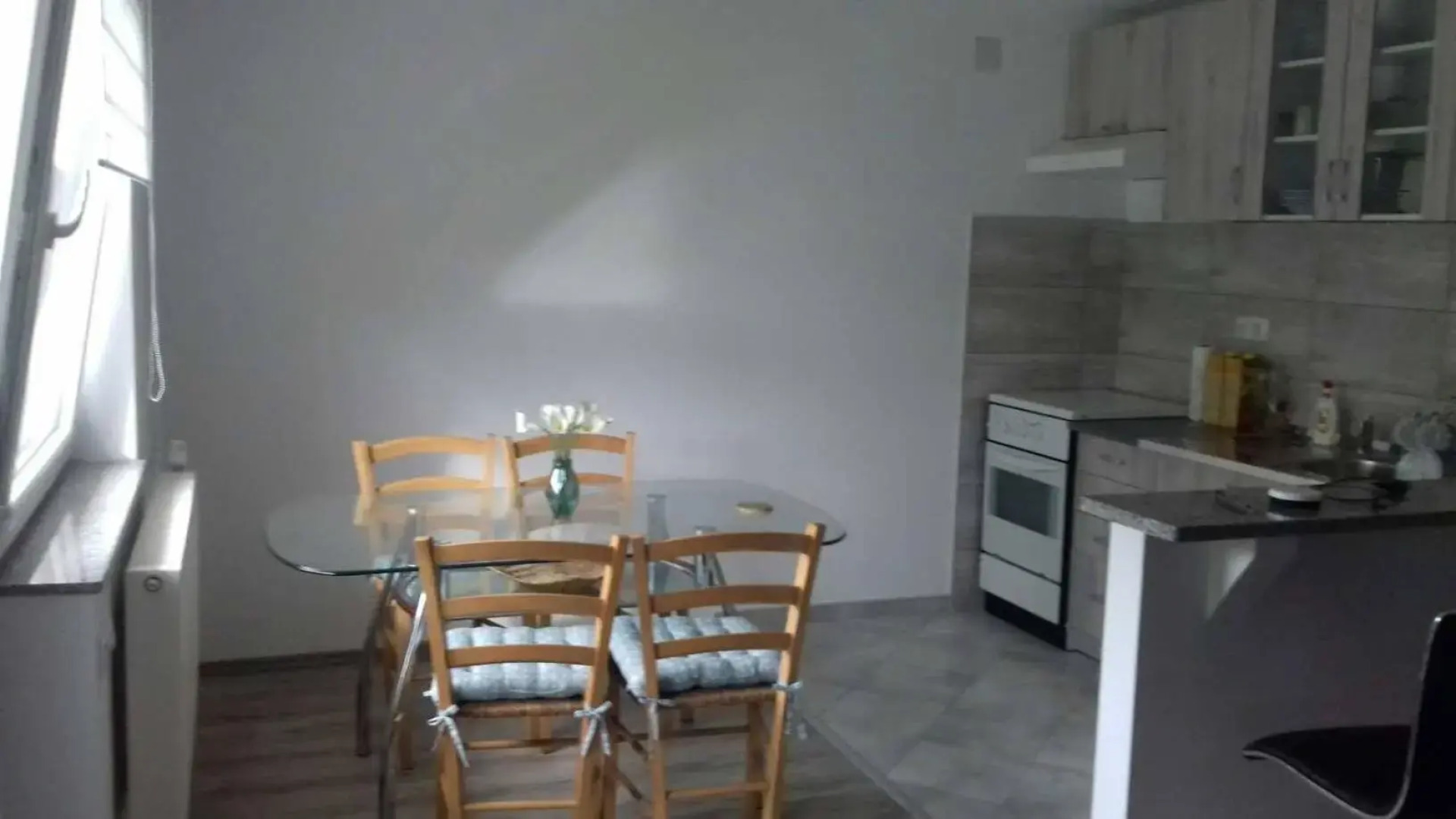 Studio apartman Trdina