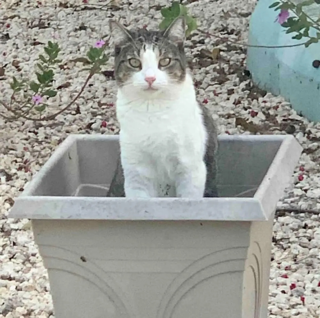 S1 BP Steps to Beach