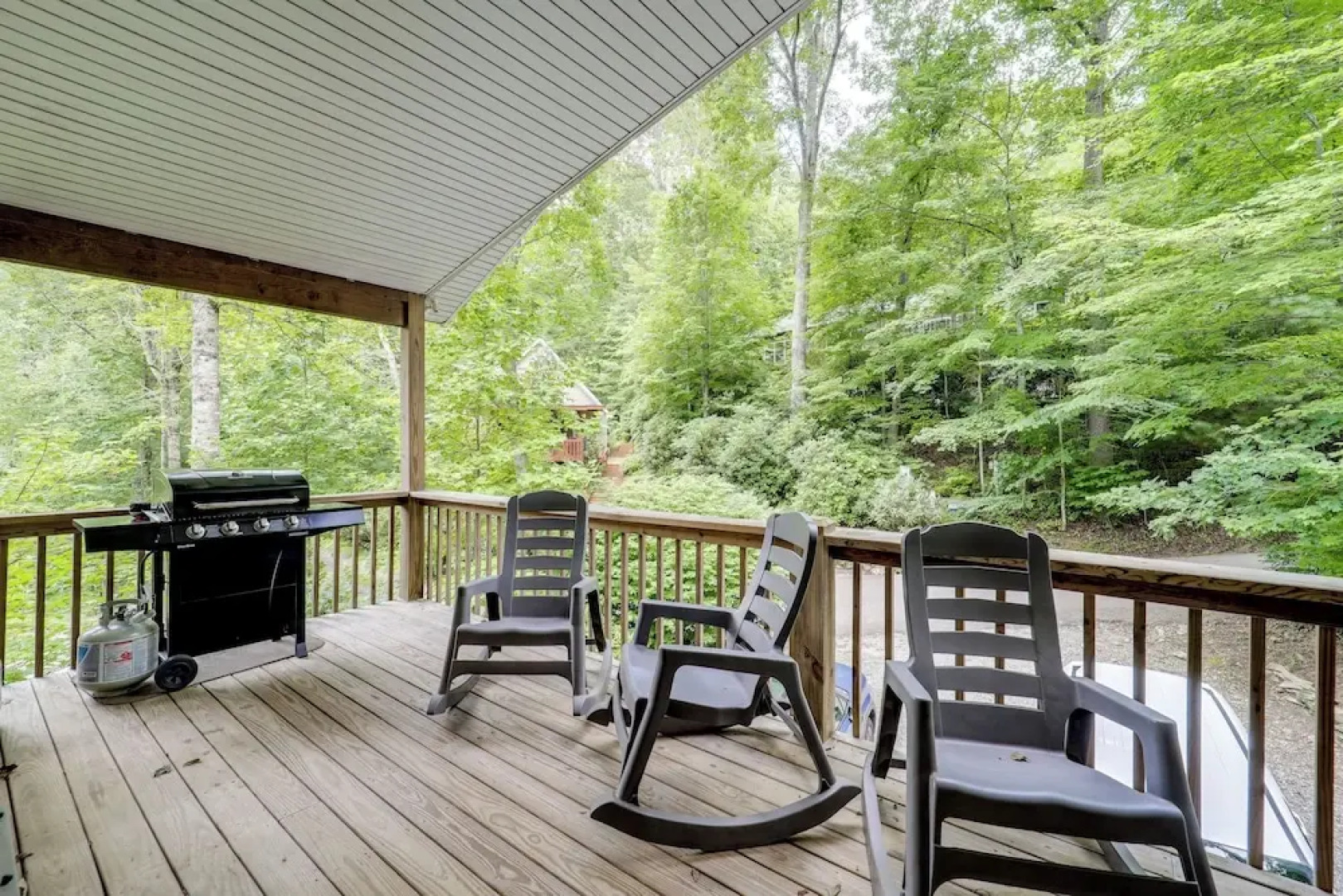 Upscale Blue Ridge Mtns Escape: Great for Groups!