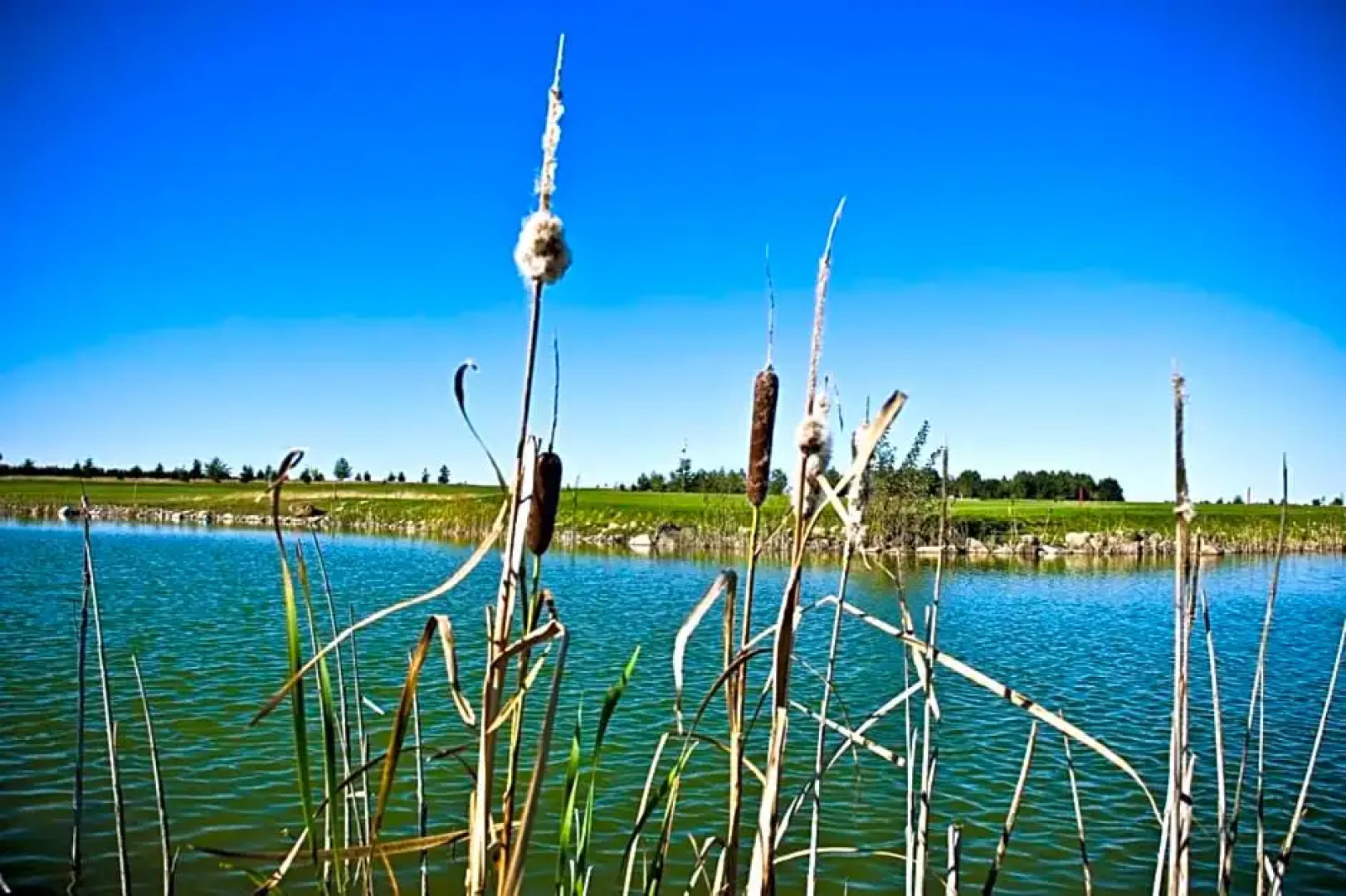 Golf Hotel Lisia Polana