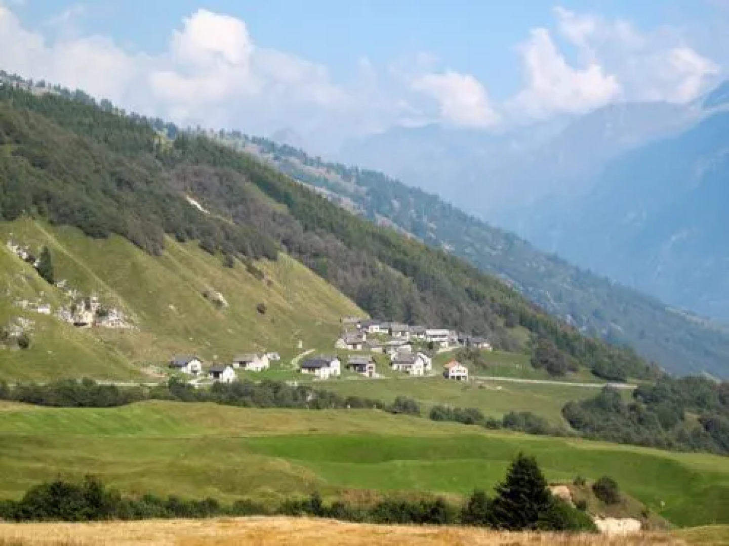 House Lisca Leontica