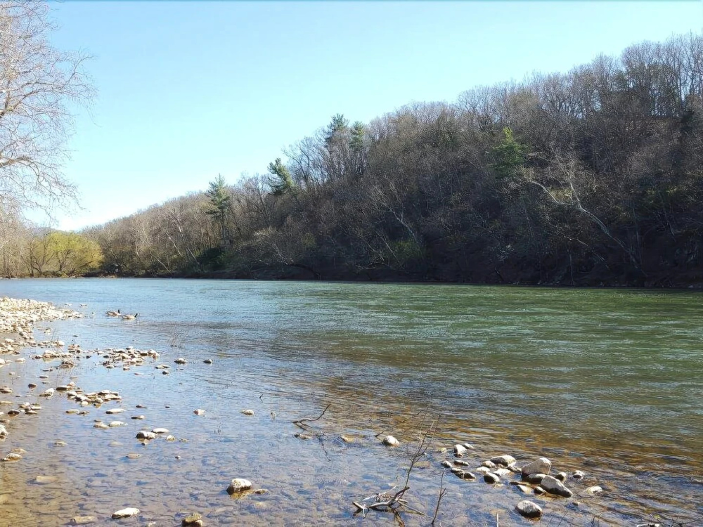 The Jive - Christophers_riverside_cabin