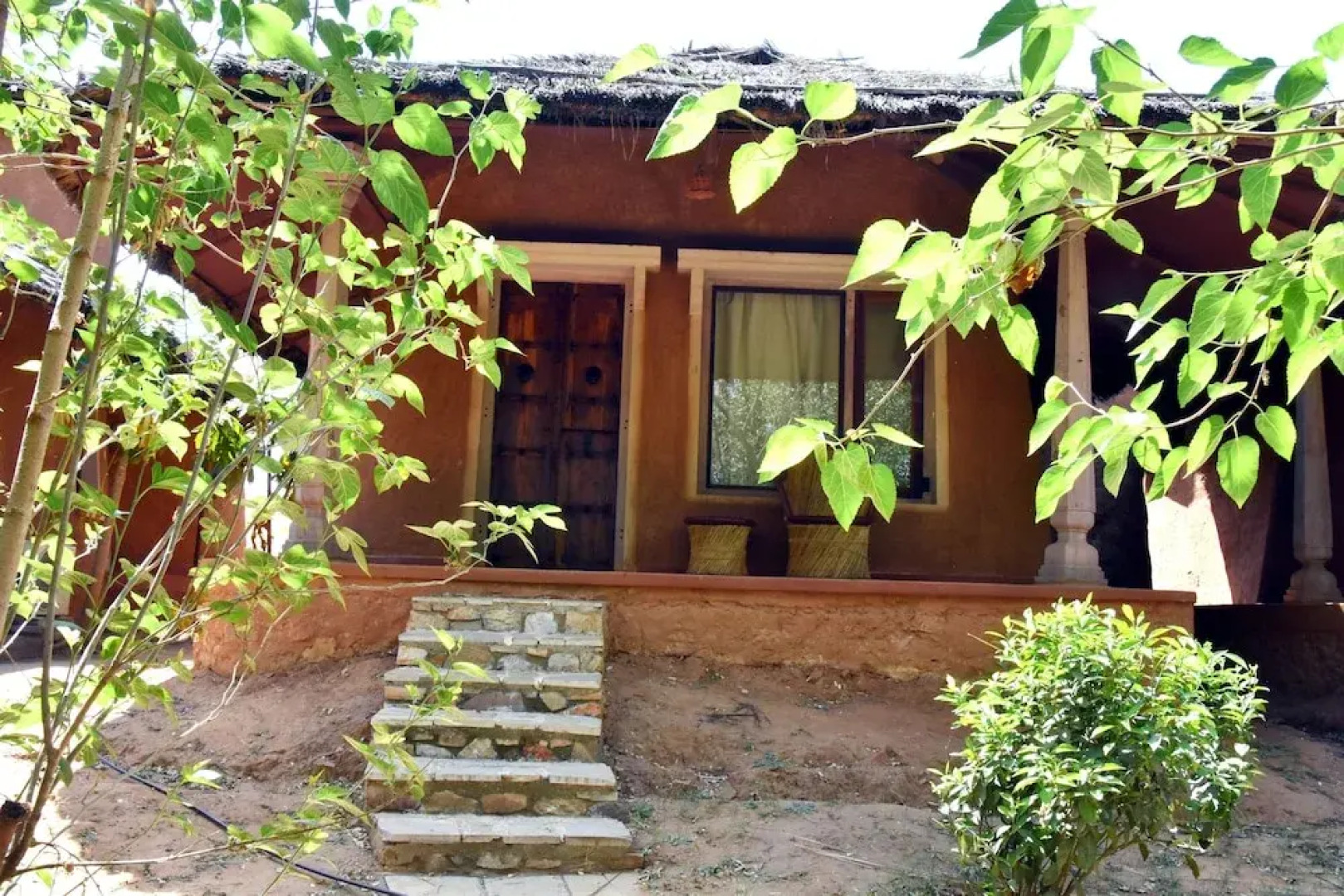 The Earth At Ranthambore