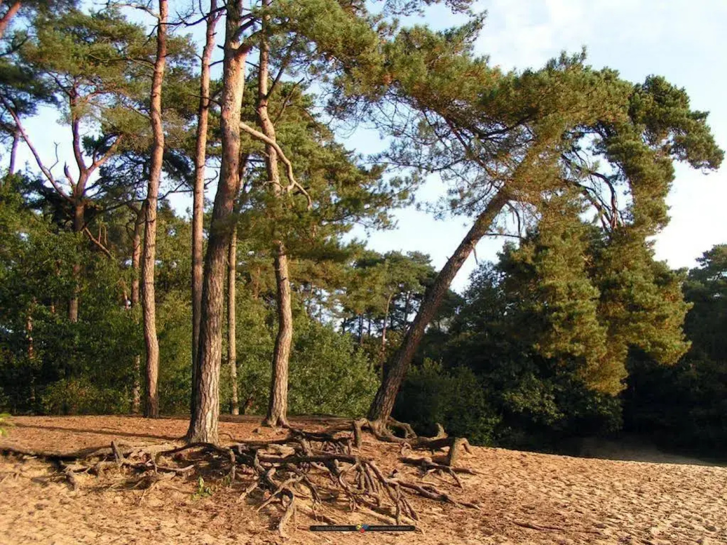 Hotel de Oringer Marke & Stee by Flow