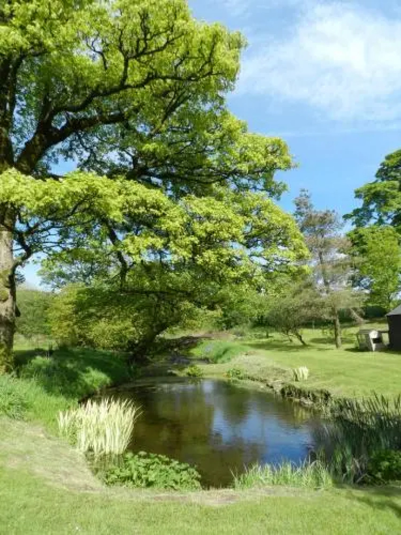 Rowrah Hall Bed & Breakfast