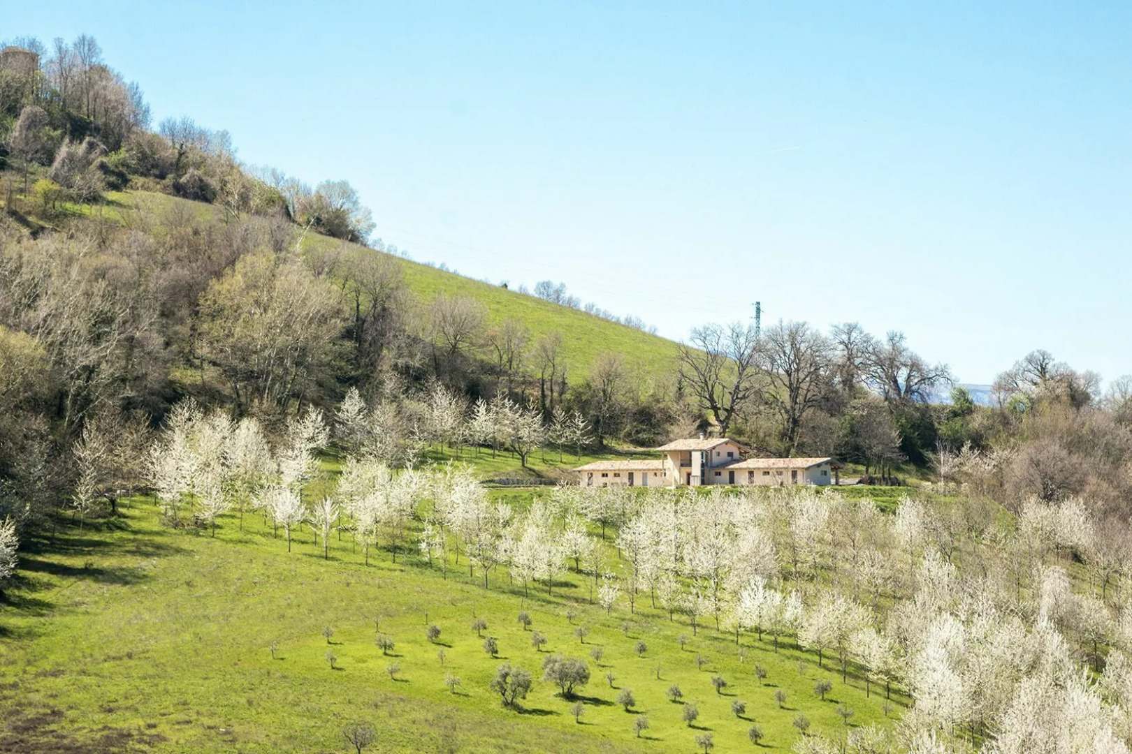 Villa Zen - Villa Zen