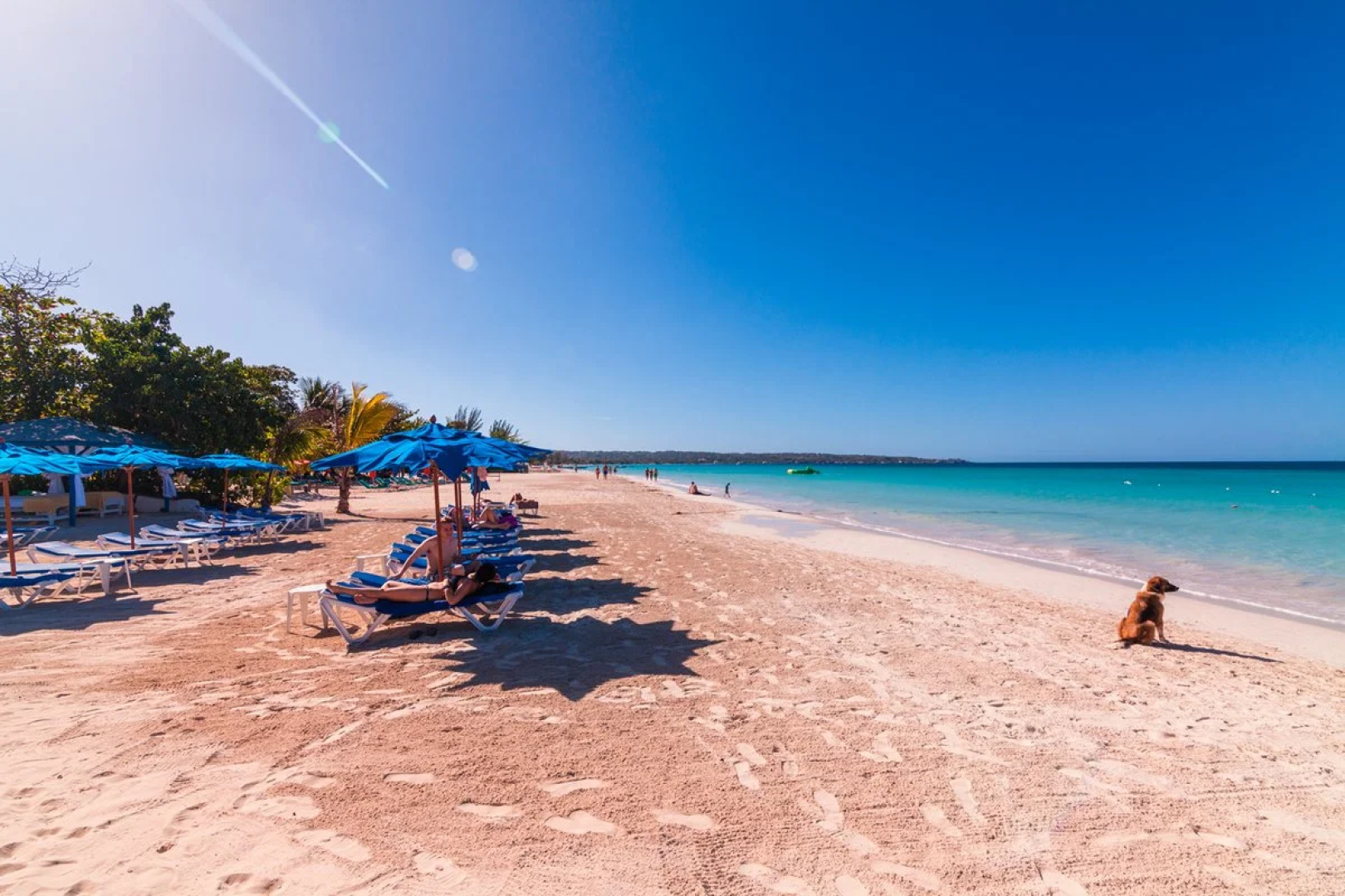 Negril Tree House Resort