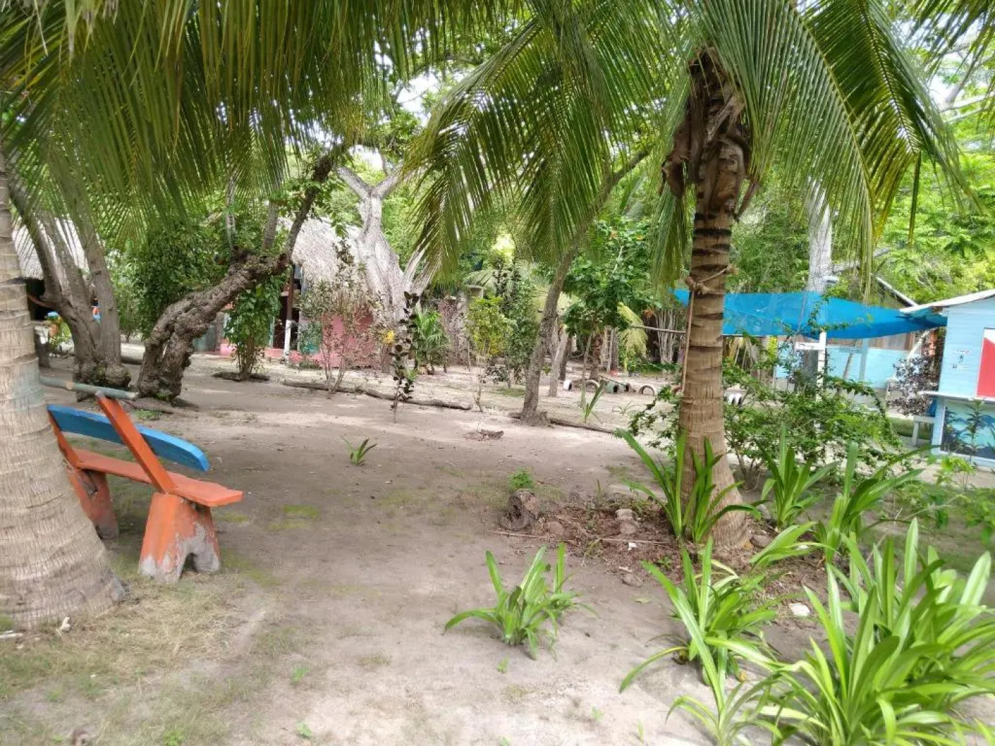 Eco Hotel Las Palmeras