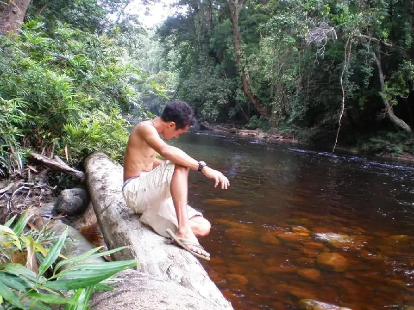 Belebar Studio Room Taman Negara Pahang Malaysia