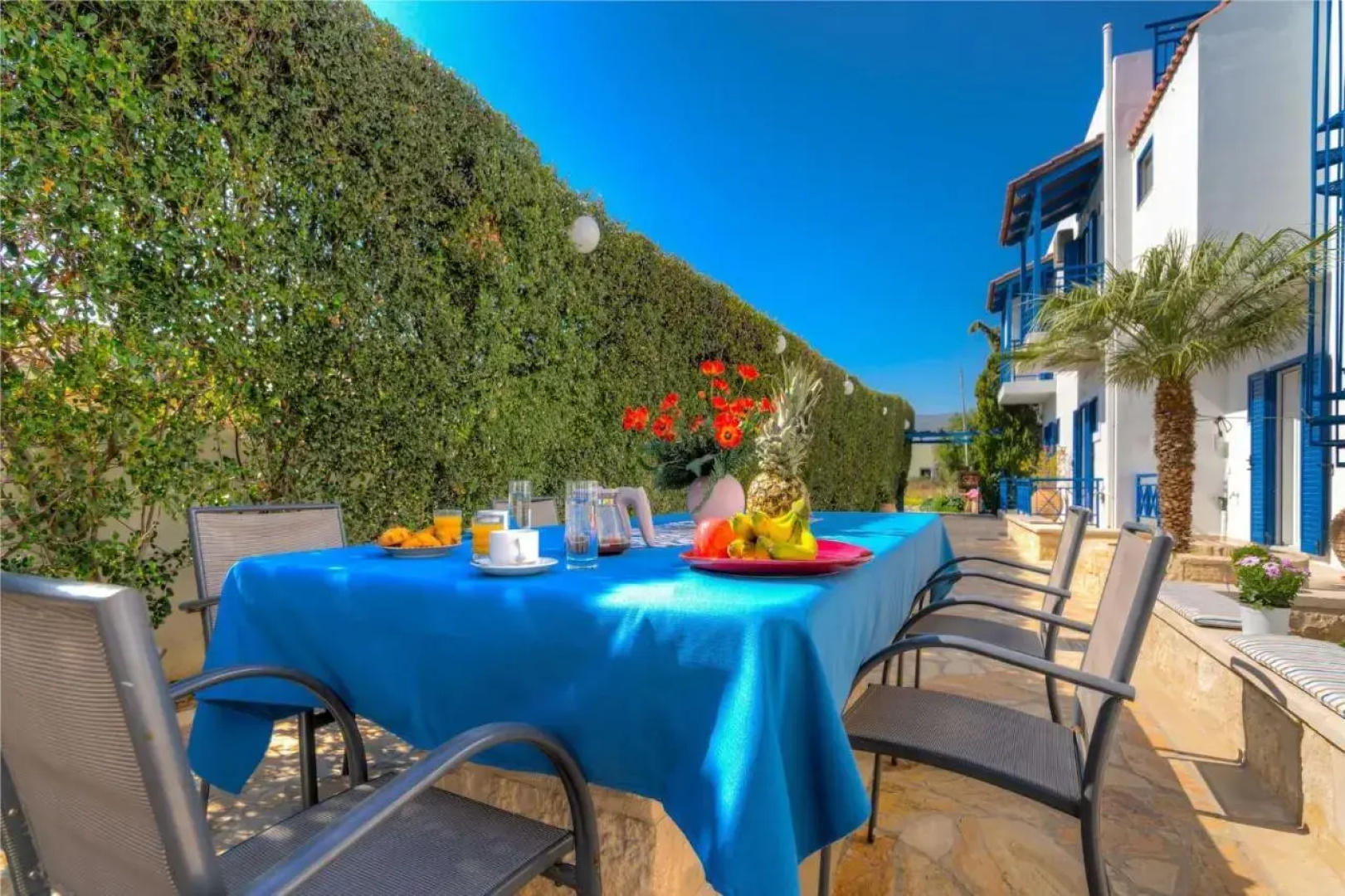 BBQ-Backyard -of Amoudara-Full Kitchen-Parking-4