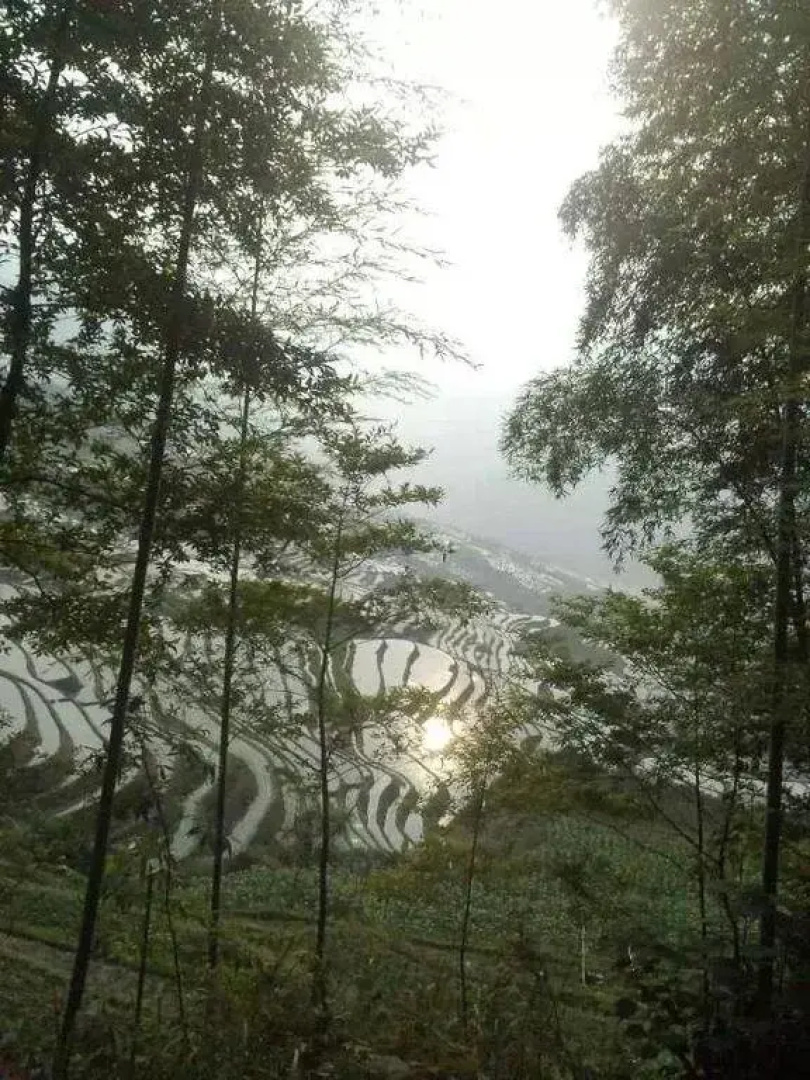 Yuanxiang Yayuan Inn