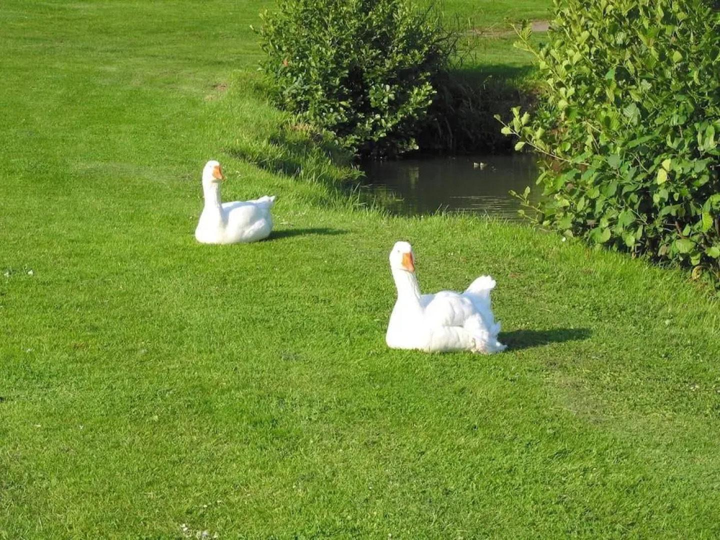 Résidence Lagrange Vacances Les Hauts de Clairvallon