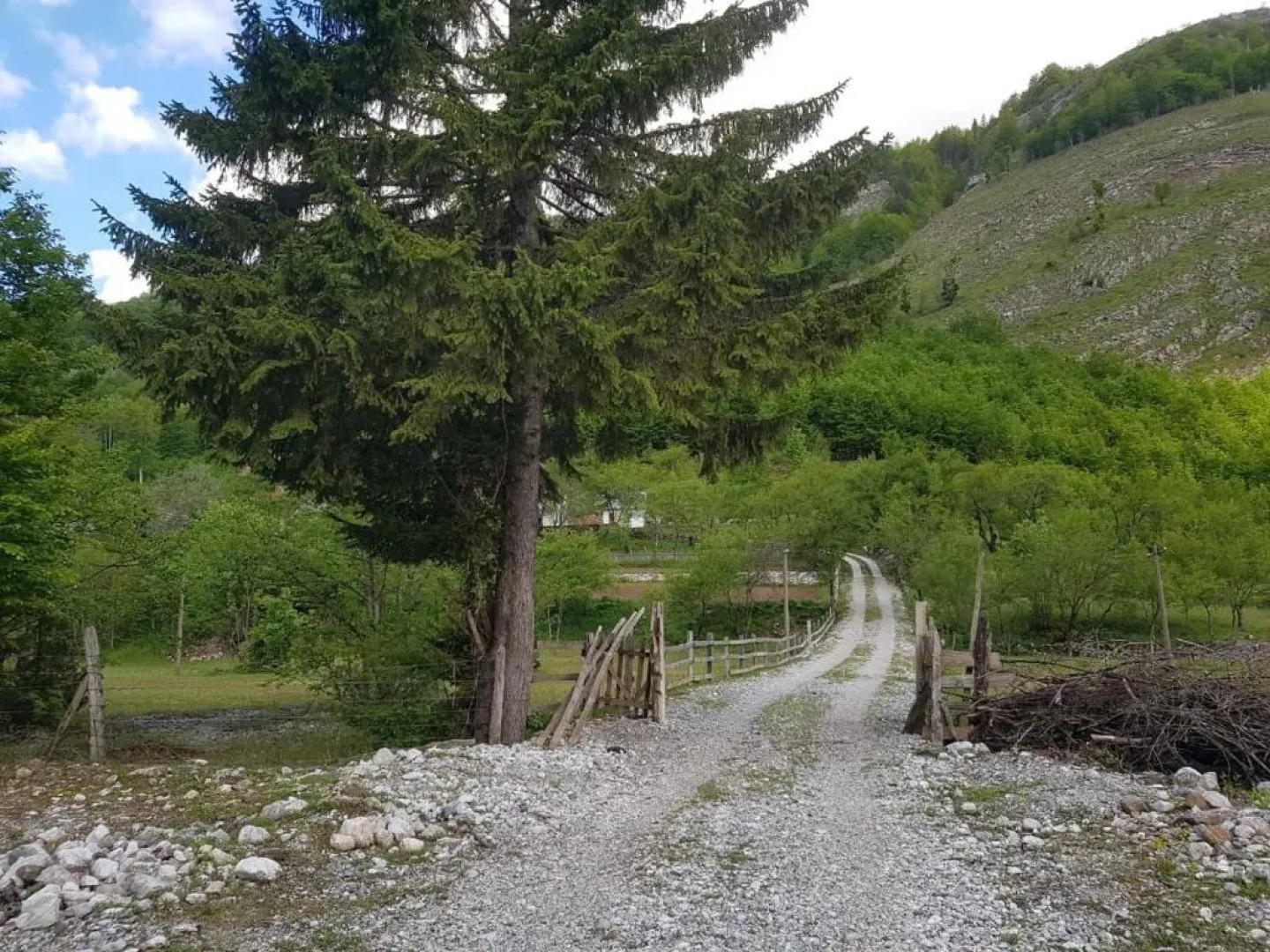 Lazer Cardaku Guest House