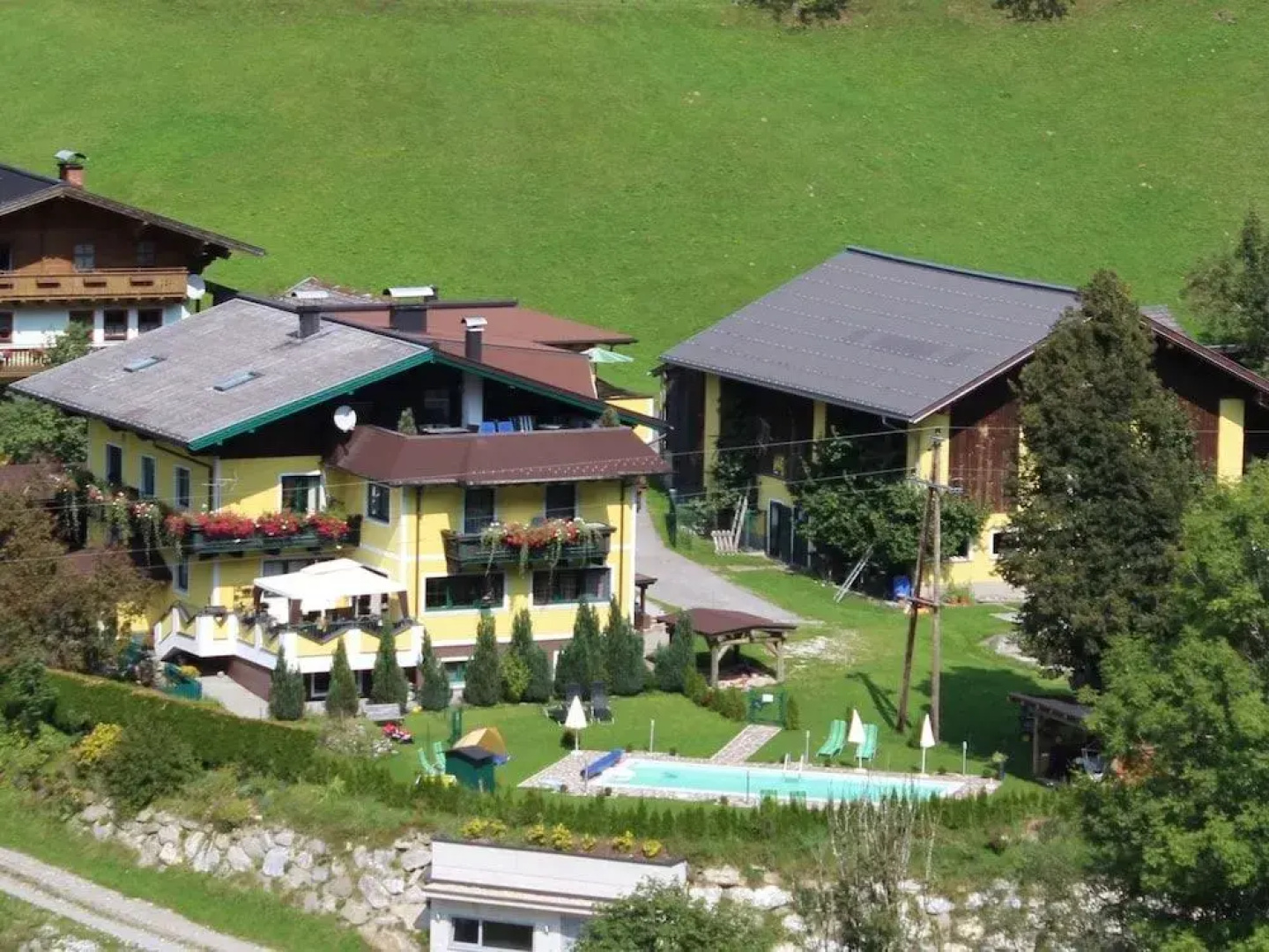 Schattaugut