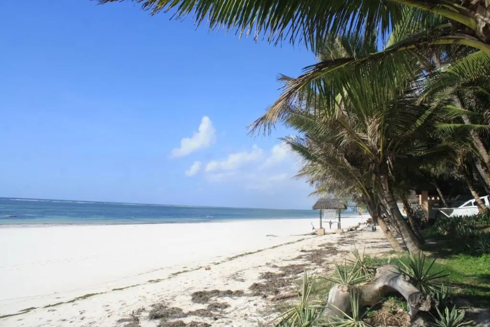Diani Marine Divers Village