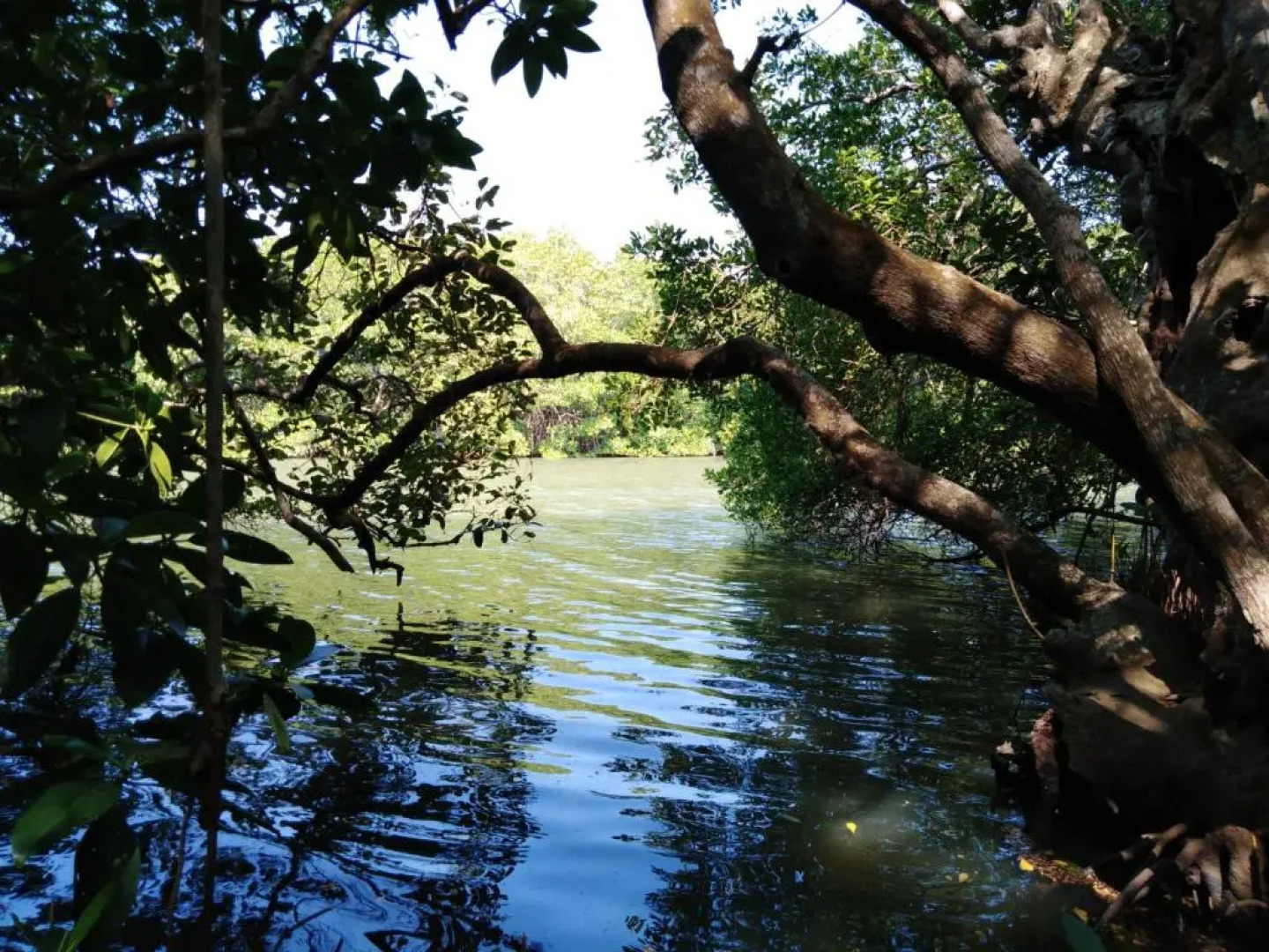 Villa de Lagoon View