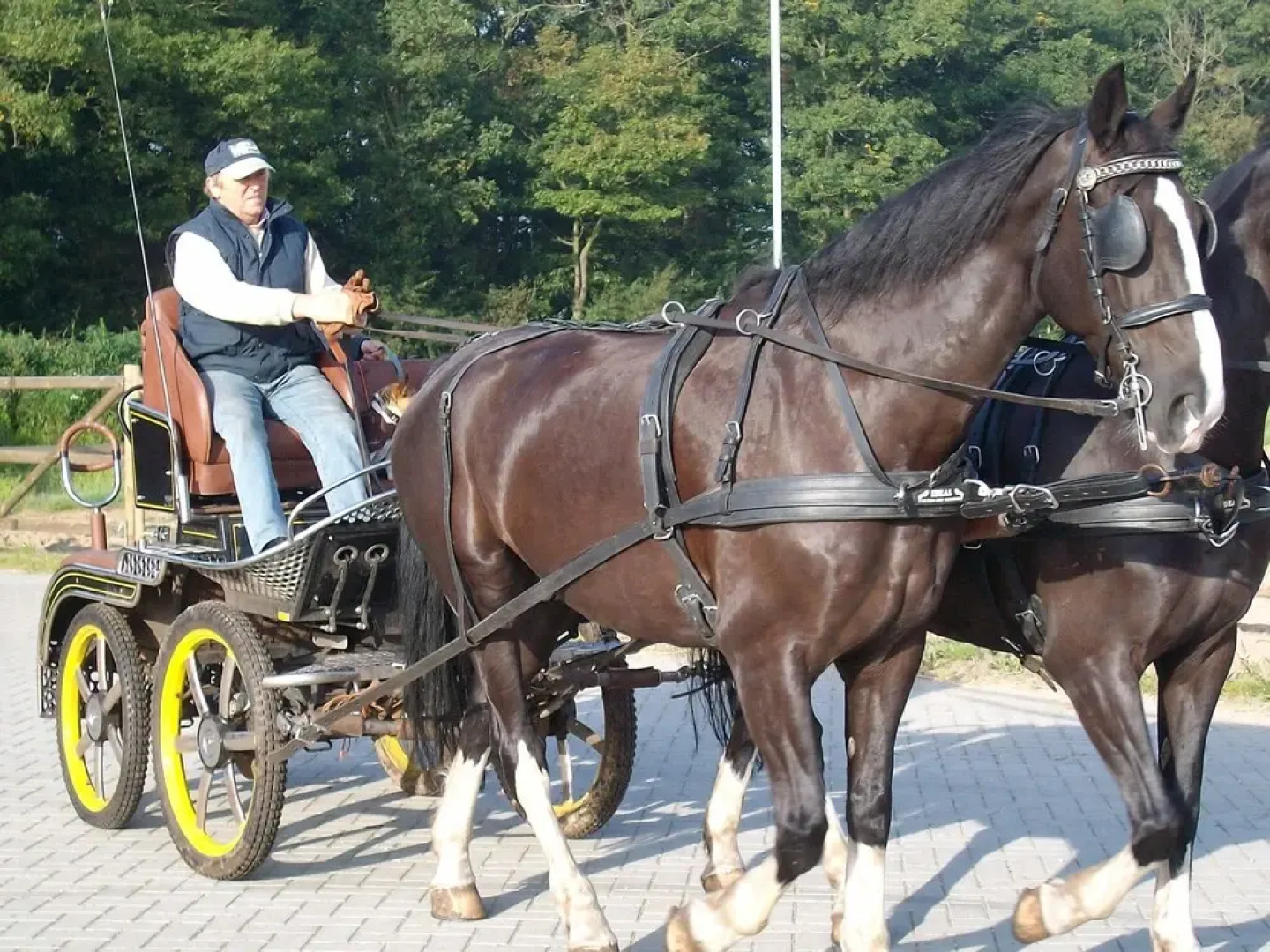 Semi-detached House With a Dishwasher, at 9 km van Slagharen