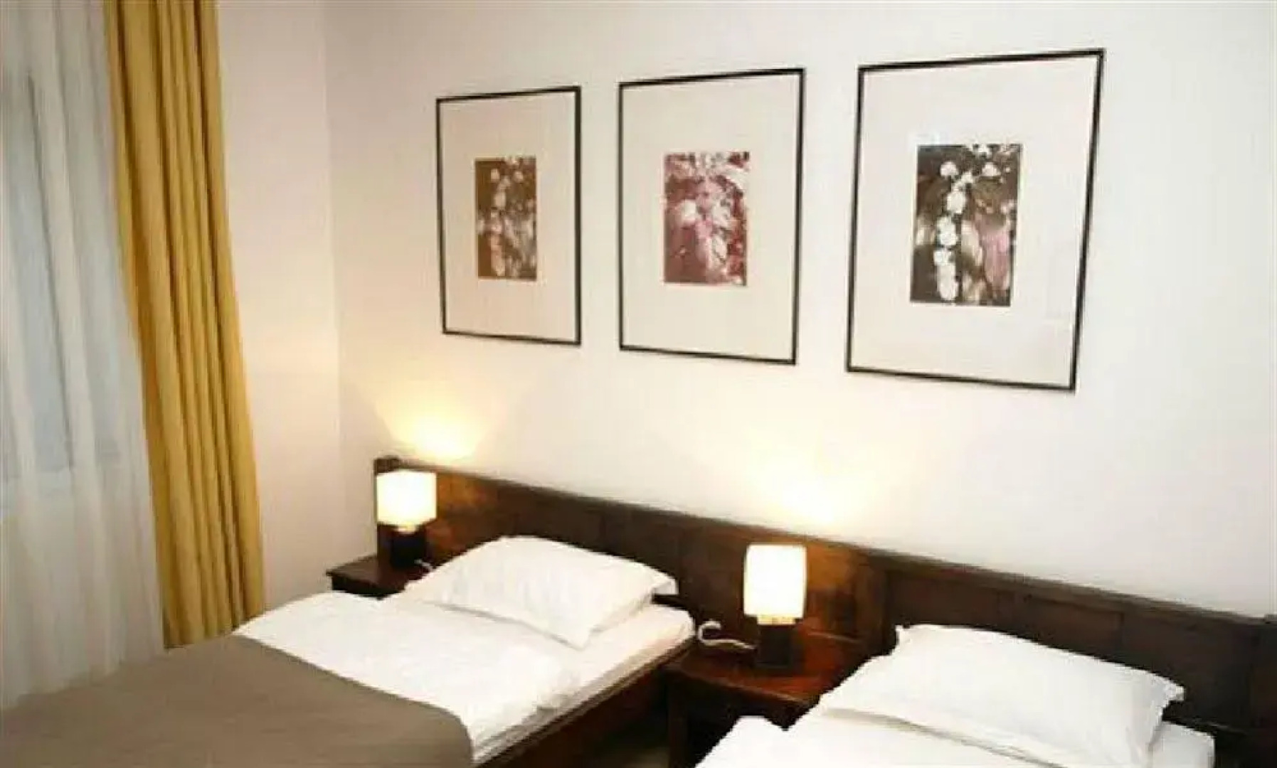 Vila Transylvanian Inn