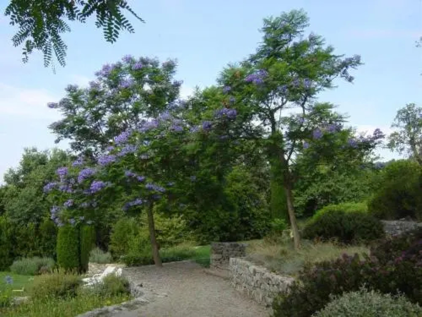 Villa Ca l'Andreu Tiana