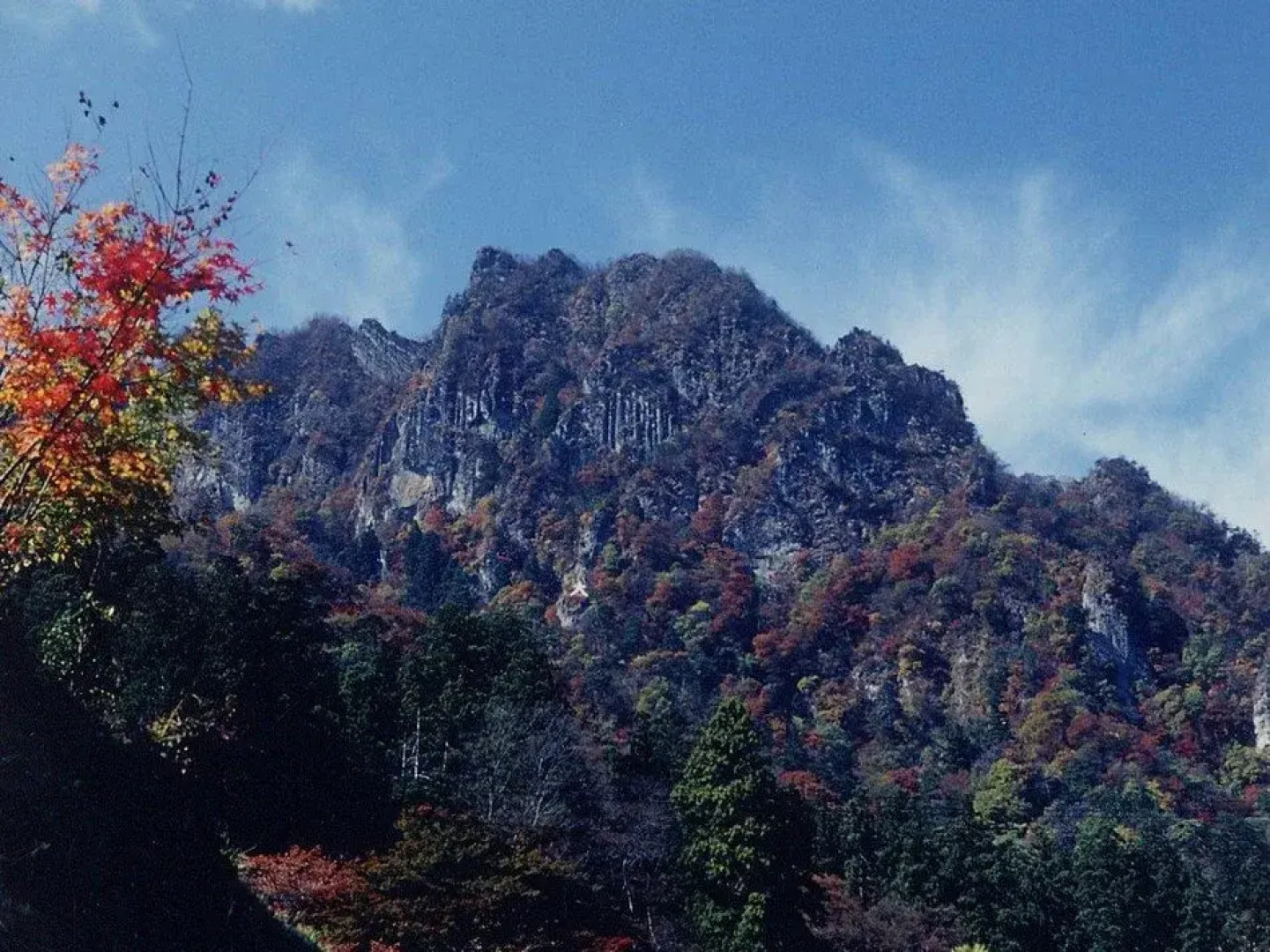 Tomareru Restaurant Mirabell Yukifumi