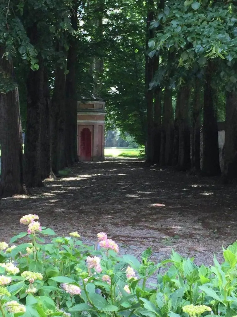 Tenuta il Palazzasso