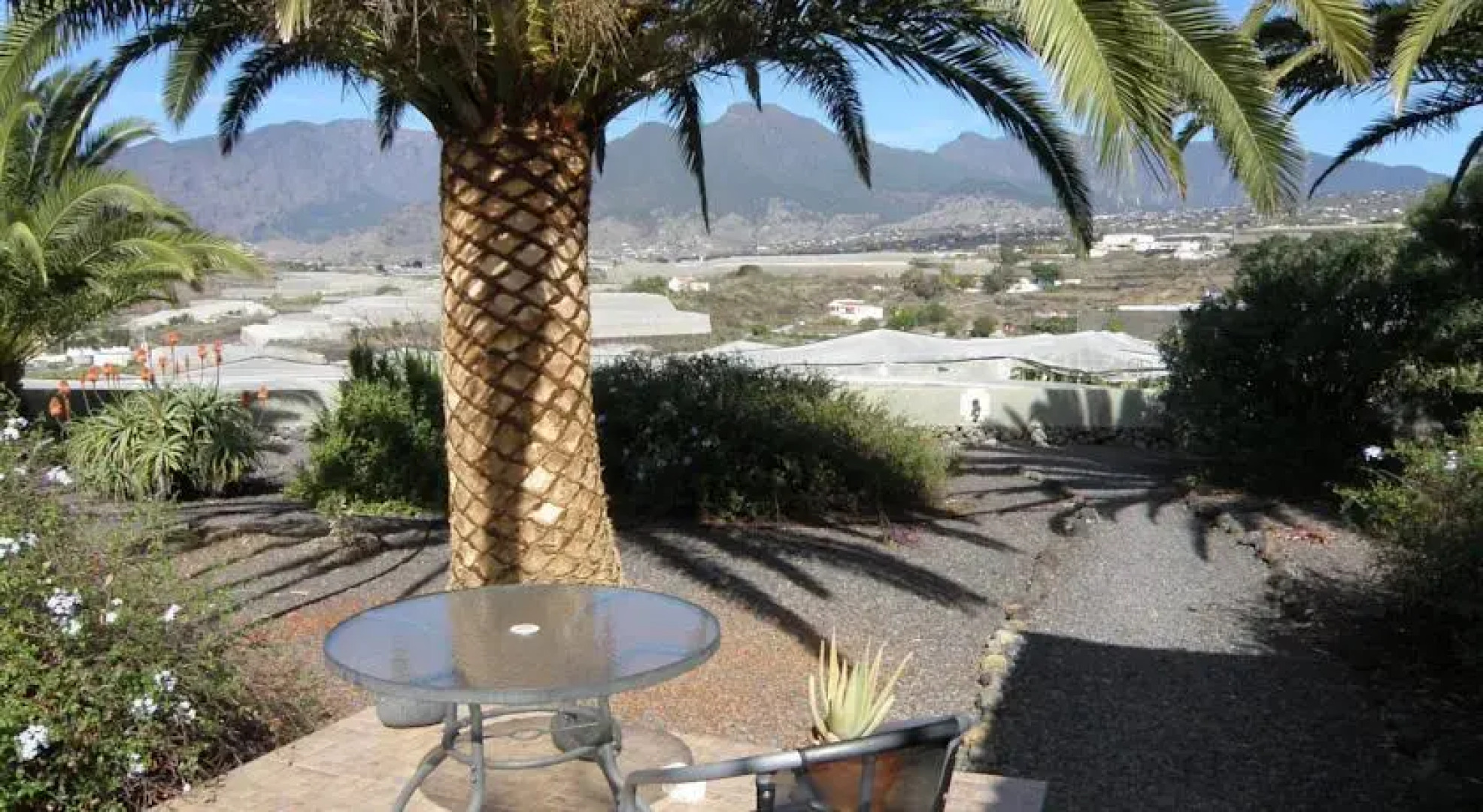 Bungalows El Paradiso