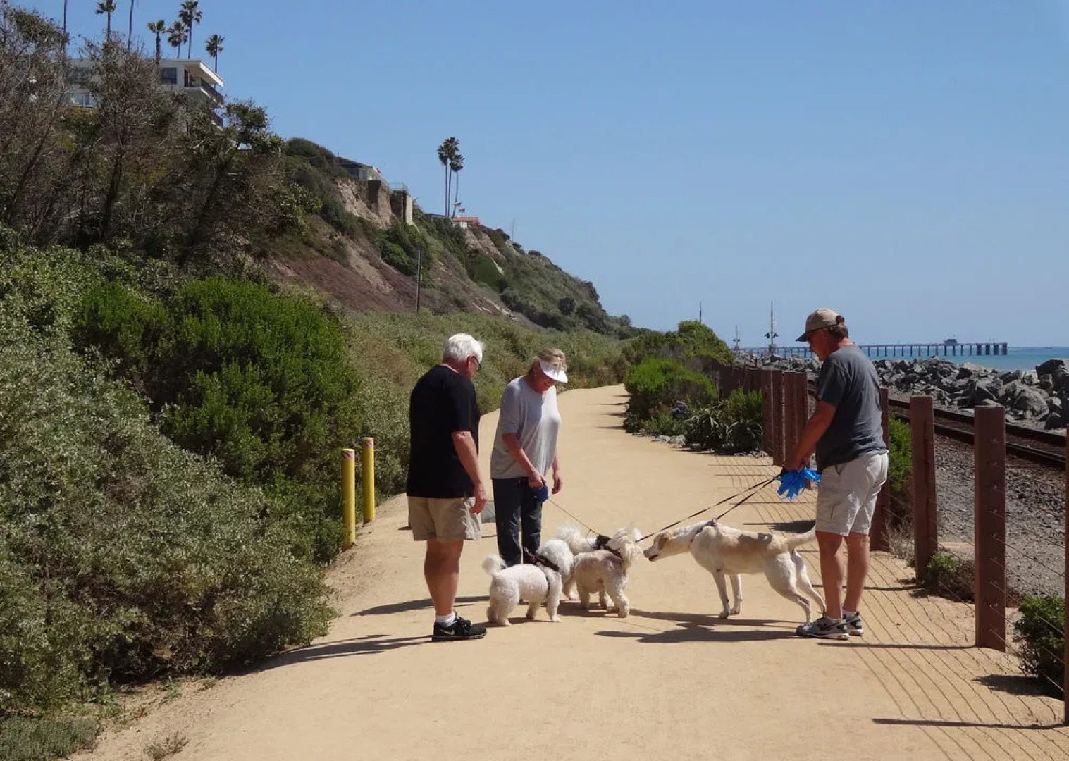 Best Western PLUS Casablanca Inn