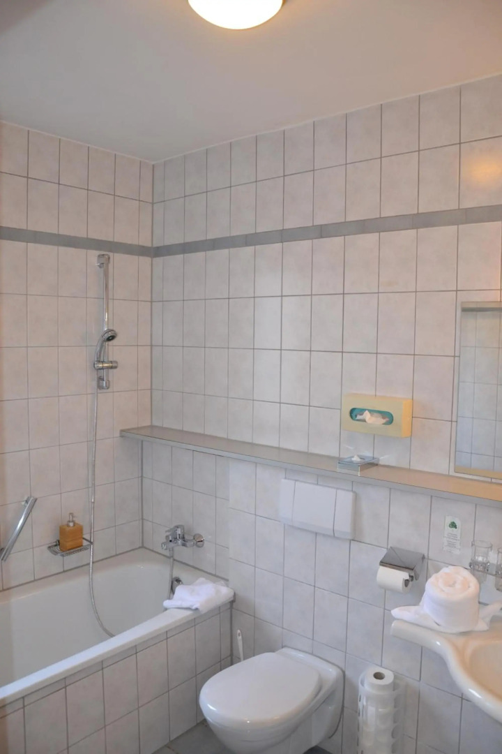 Hotel Alpina nature-wellness