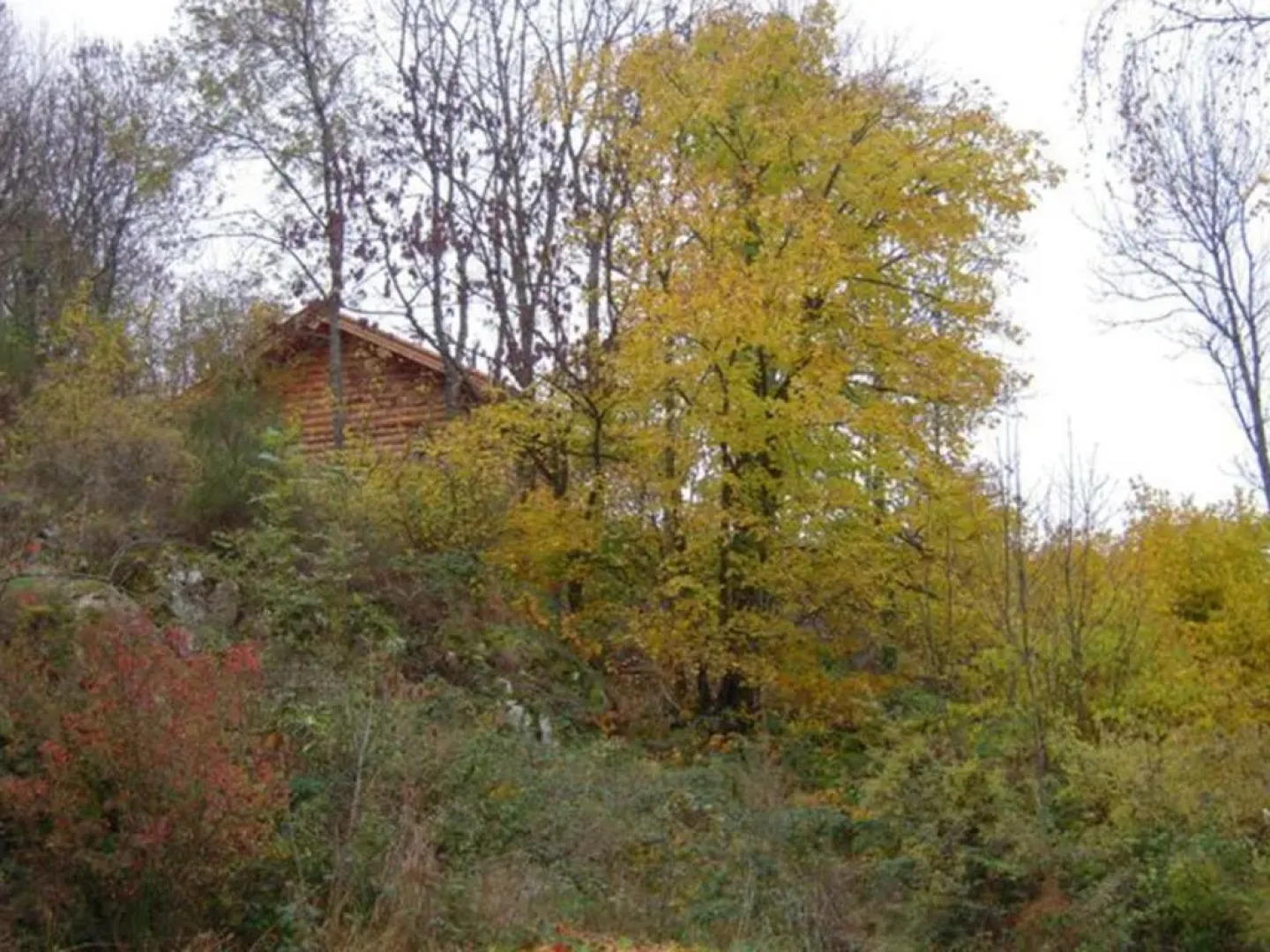 Gîte Saint-Martin-la-Sauveté, 2 pièces, 3 personnes - FR-1-496-187