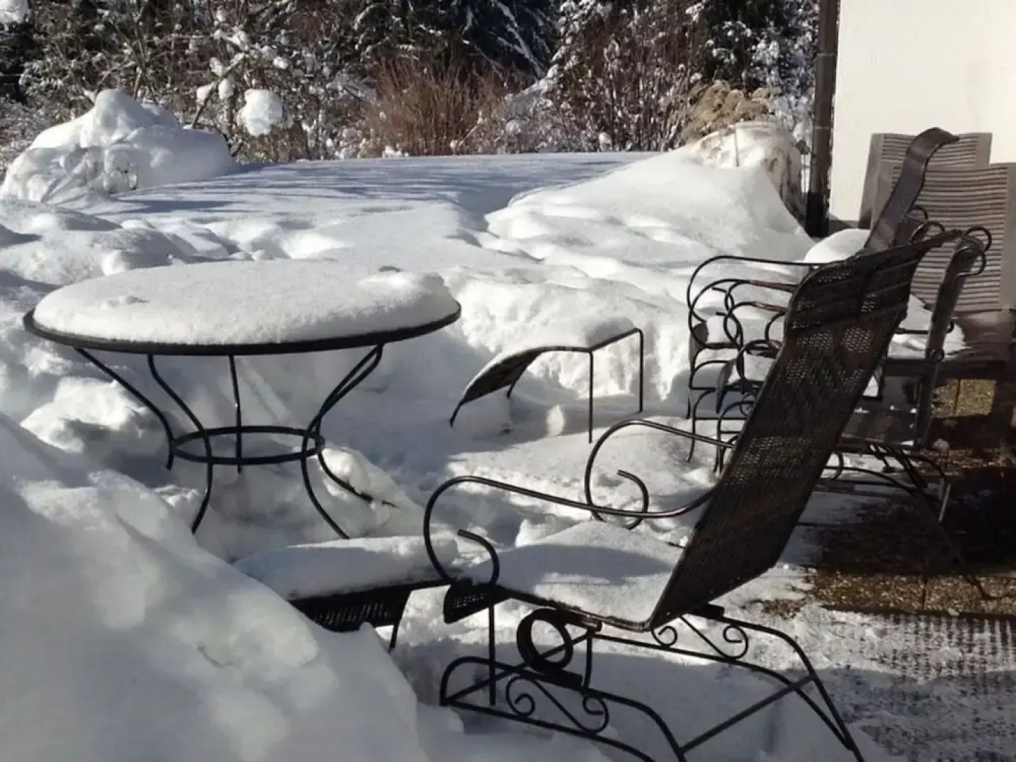 Holiday Apartment Garden Suite